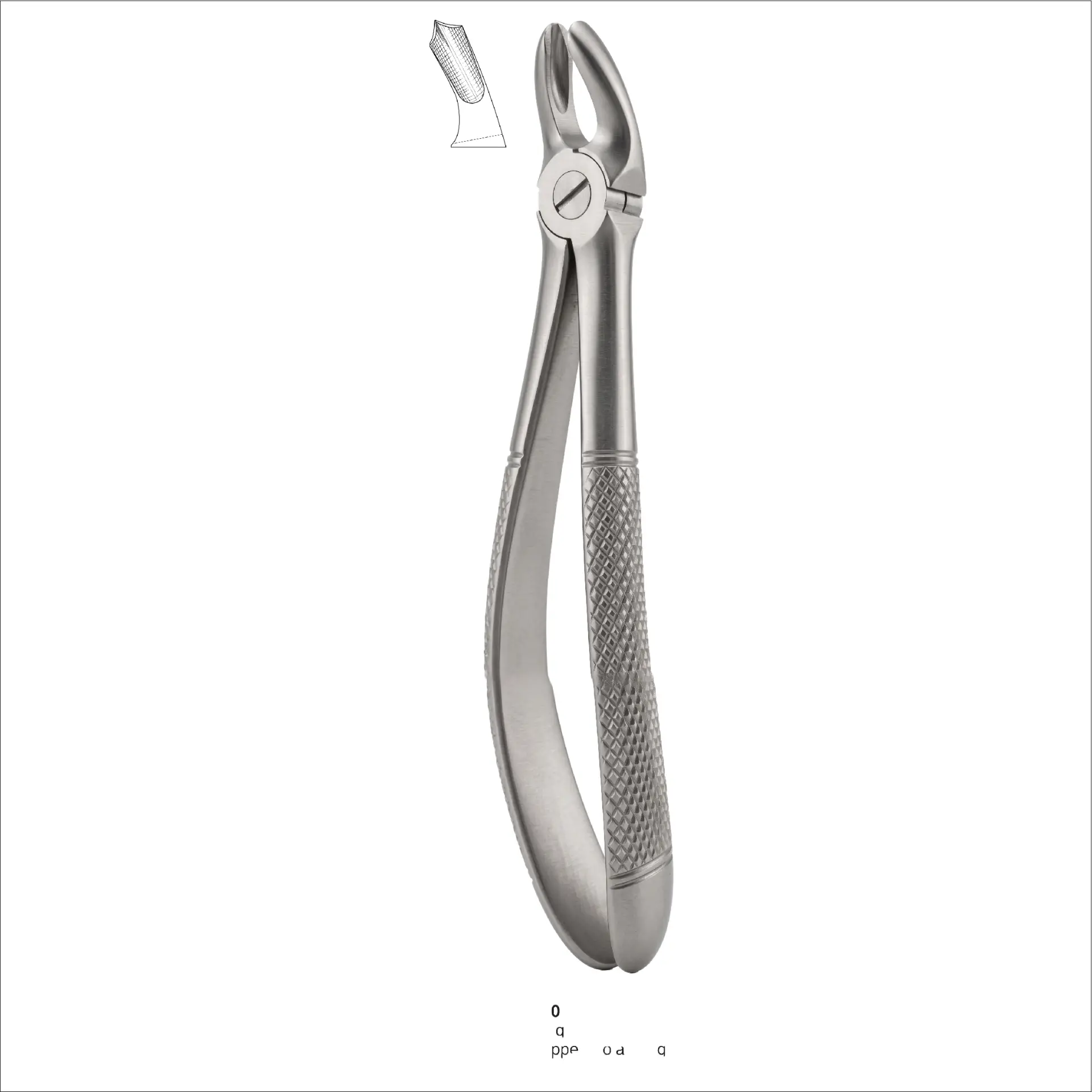 fig 17 upper molar right