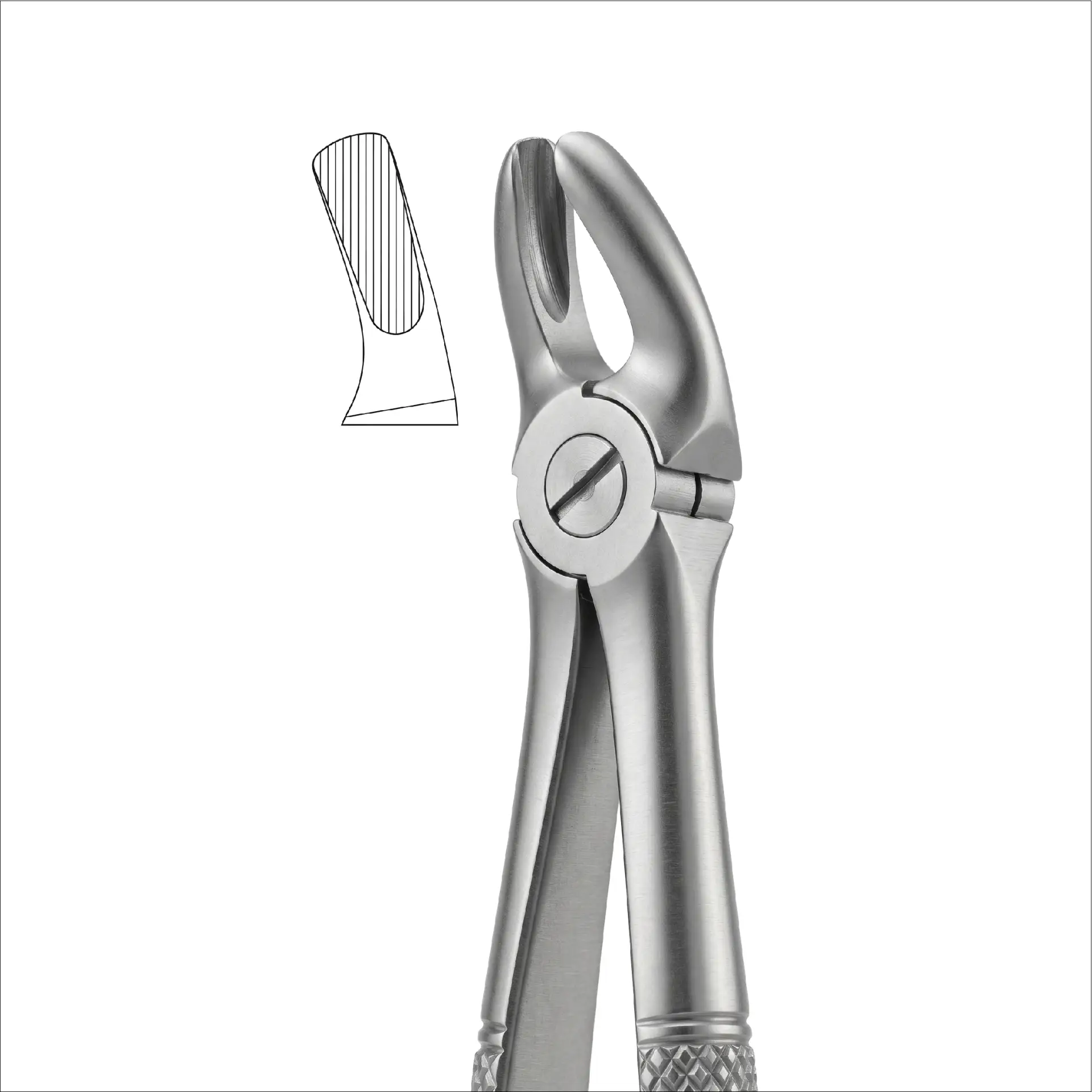 fig 18 upper molar left