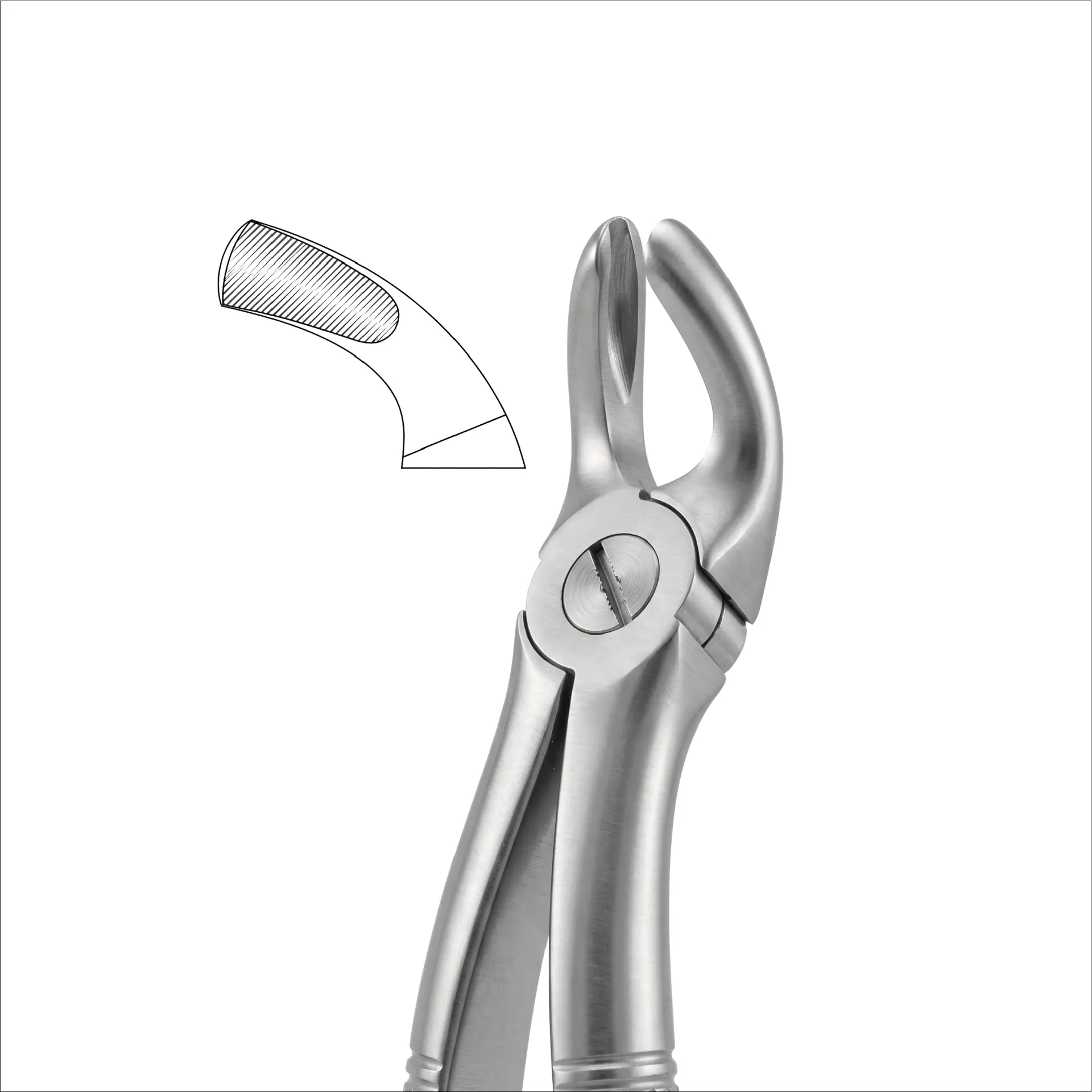 fig 19 upper third molar