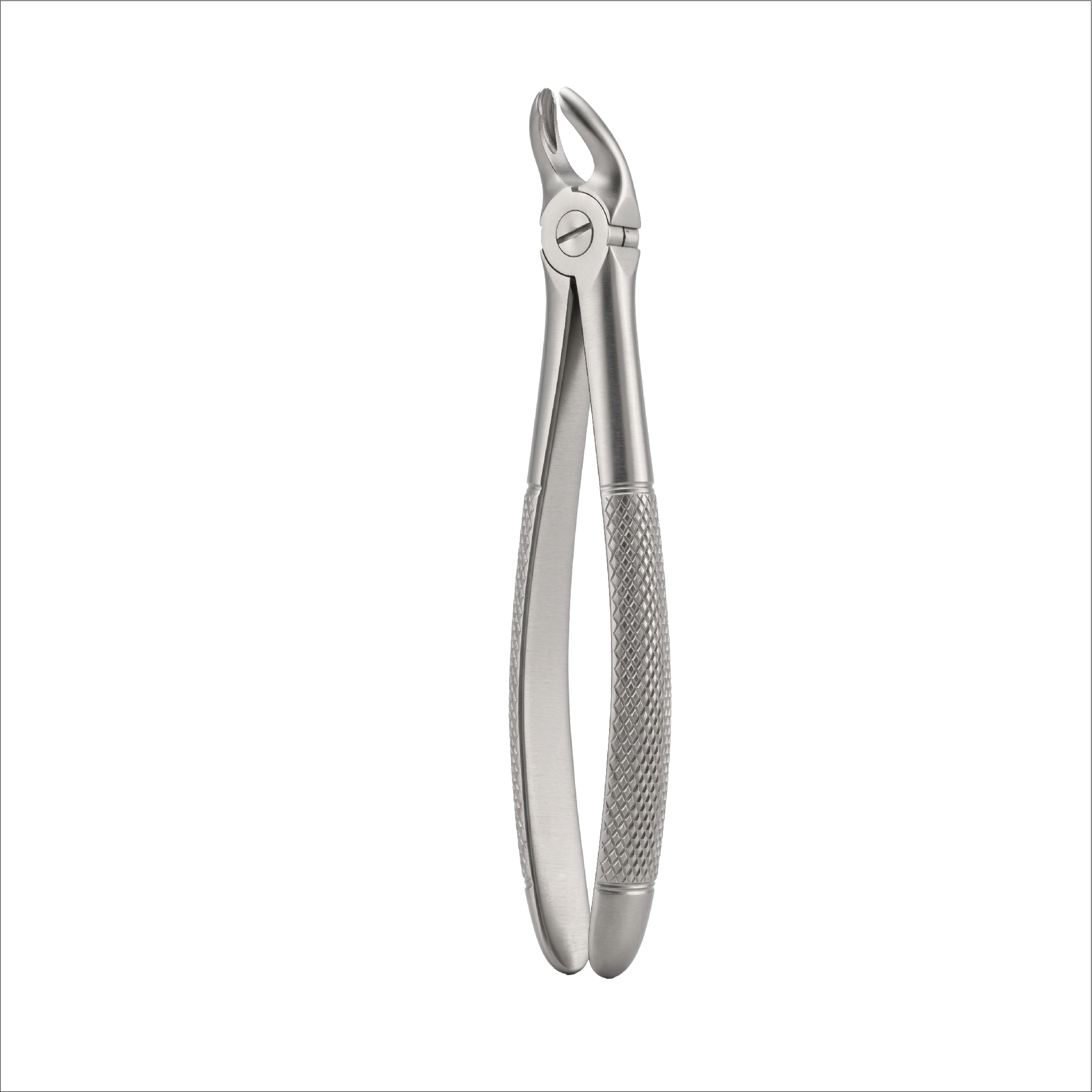 fig 20 upper third moral