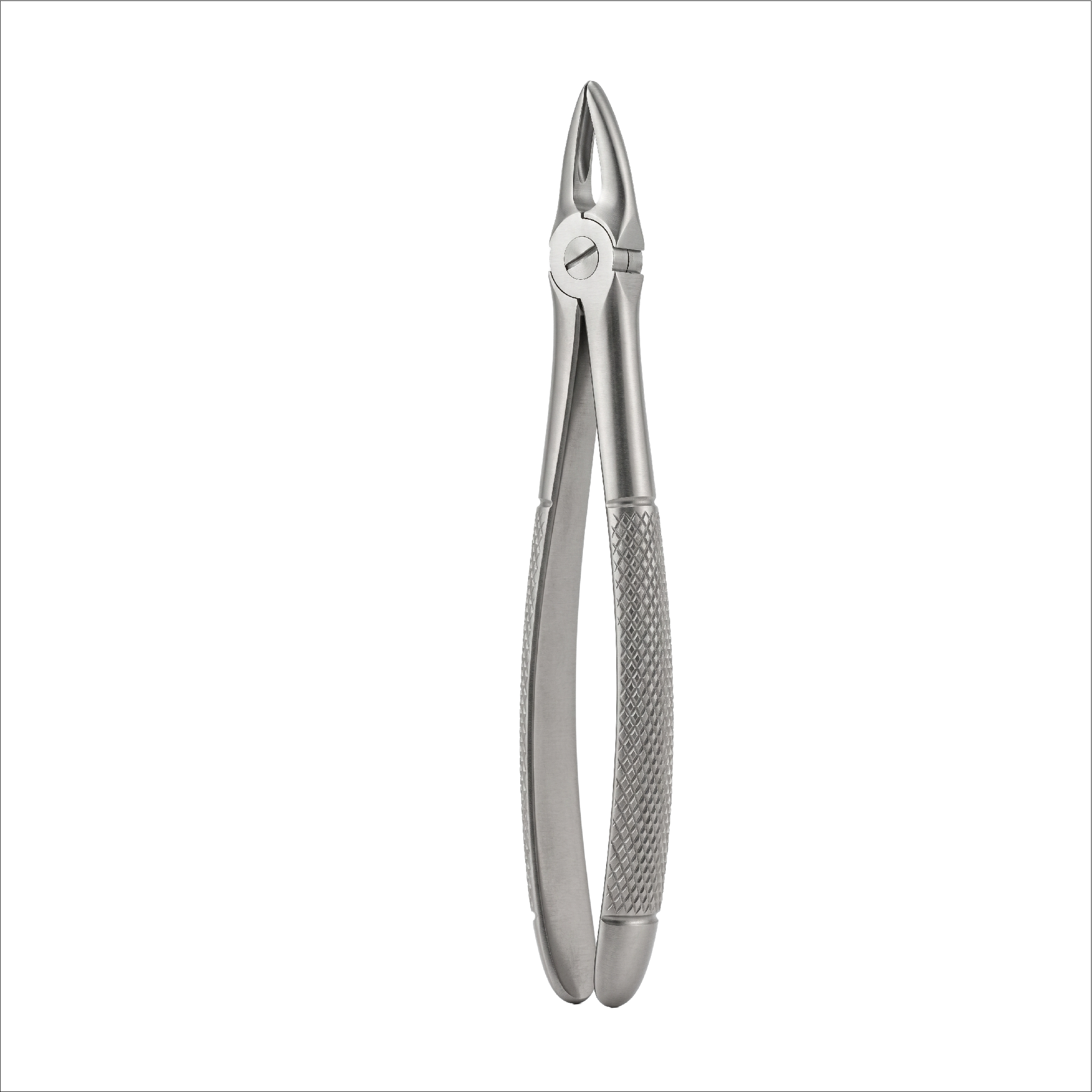 fig 29 upper roots