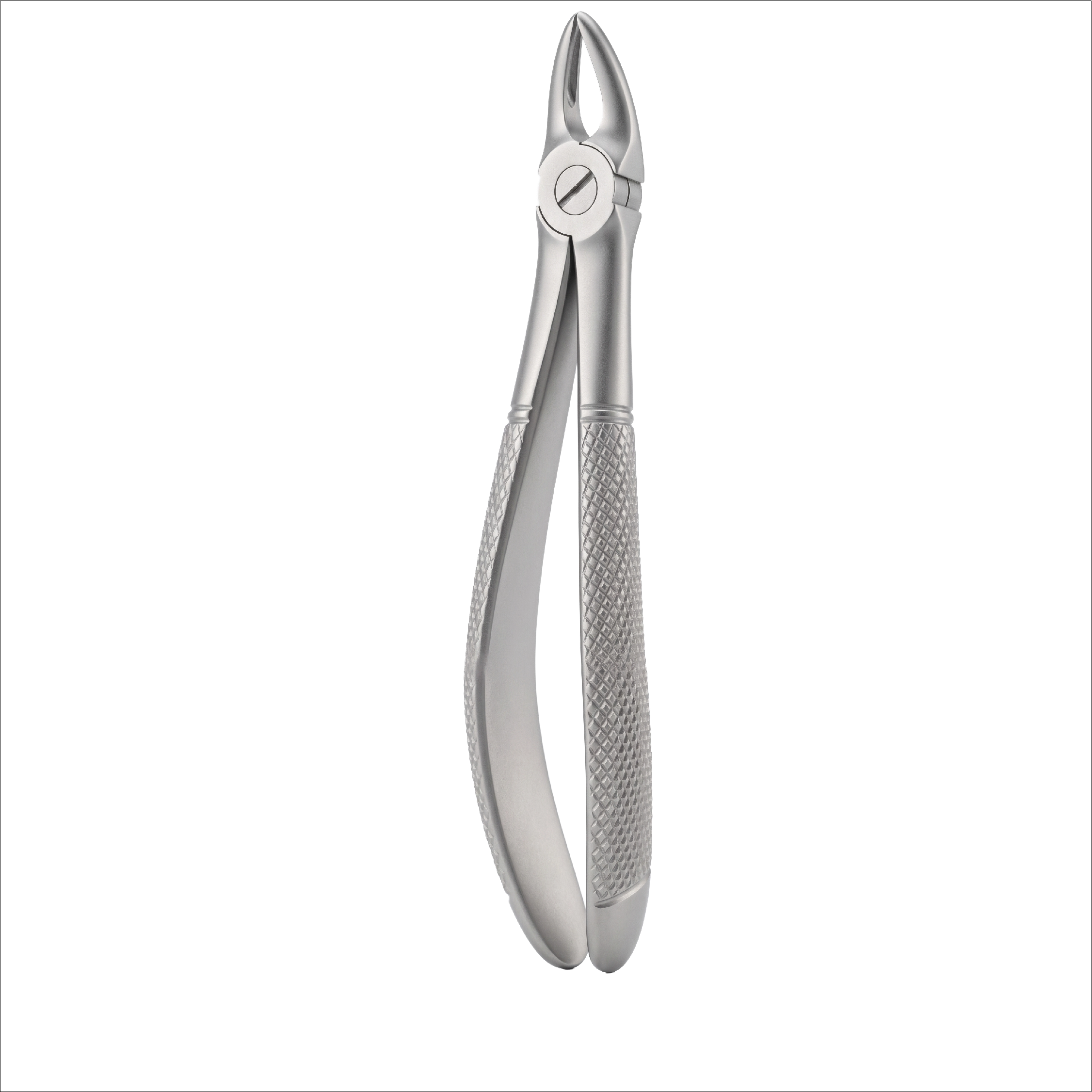 fig 30S upper roots for children