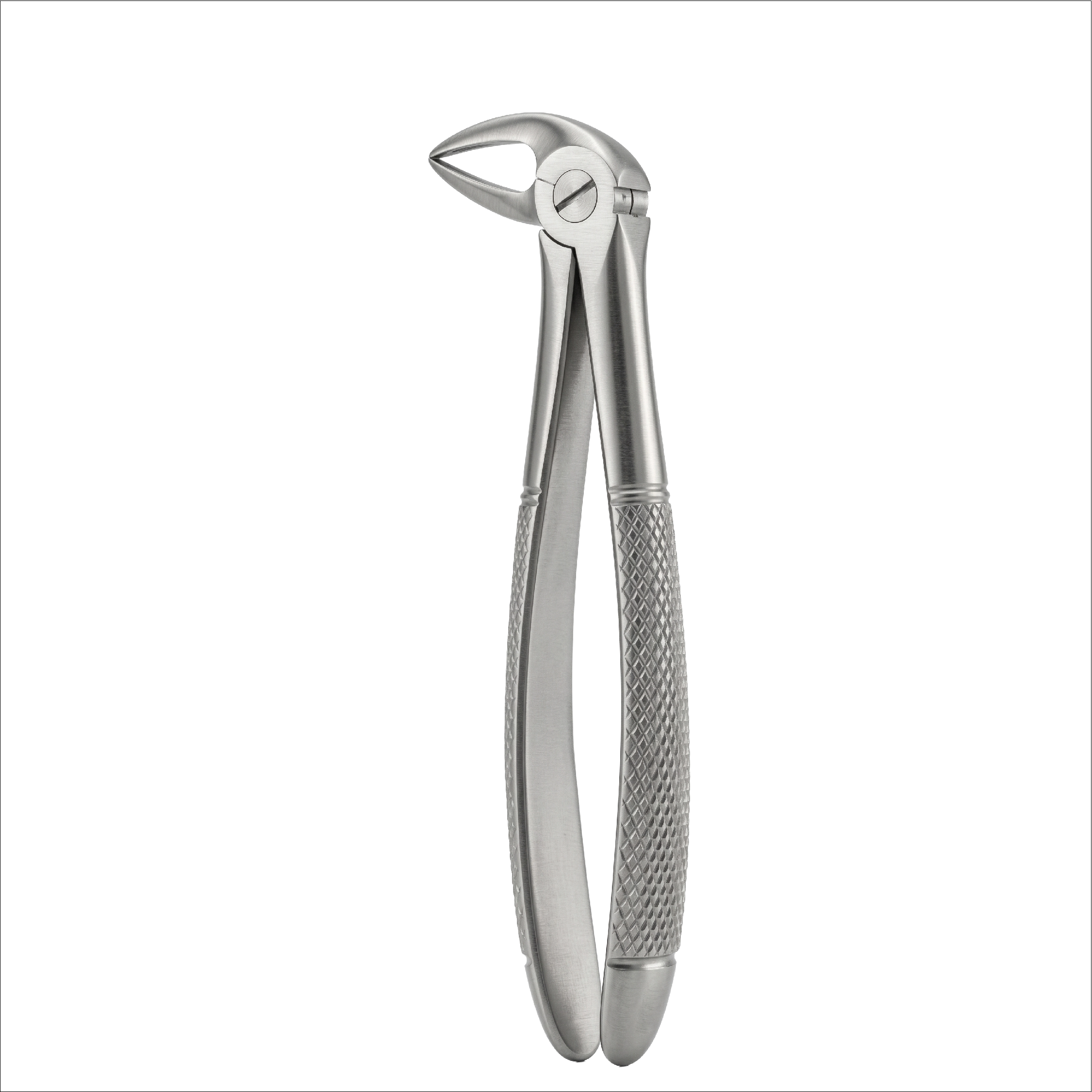 fig 33 lower rooots