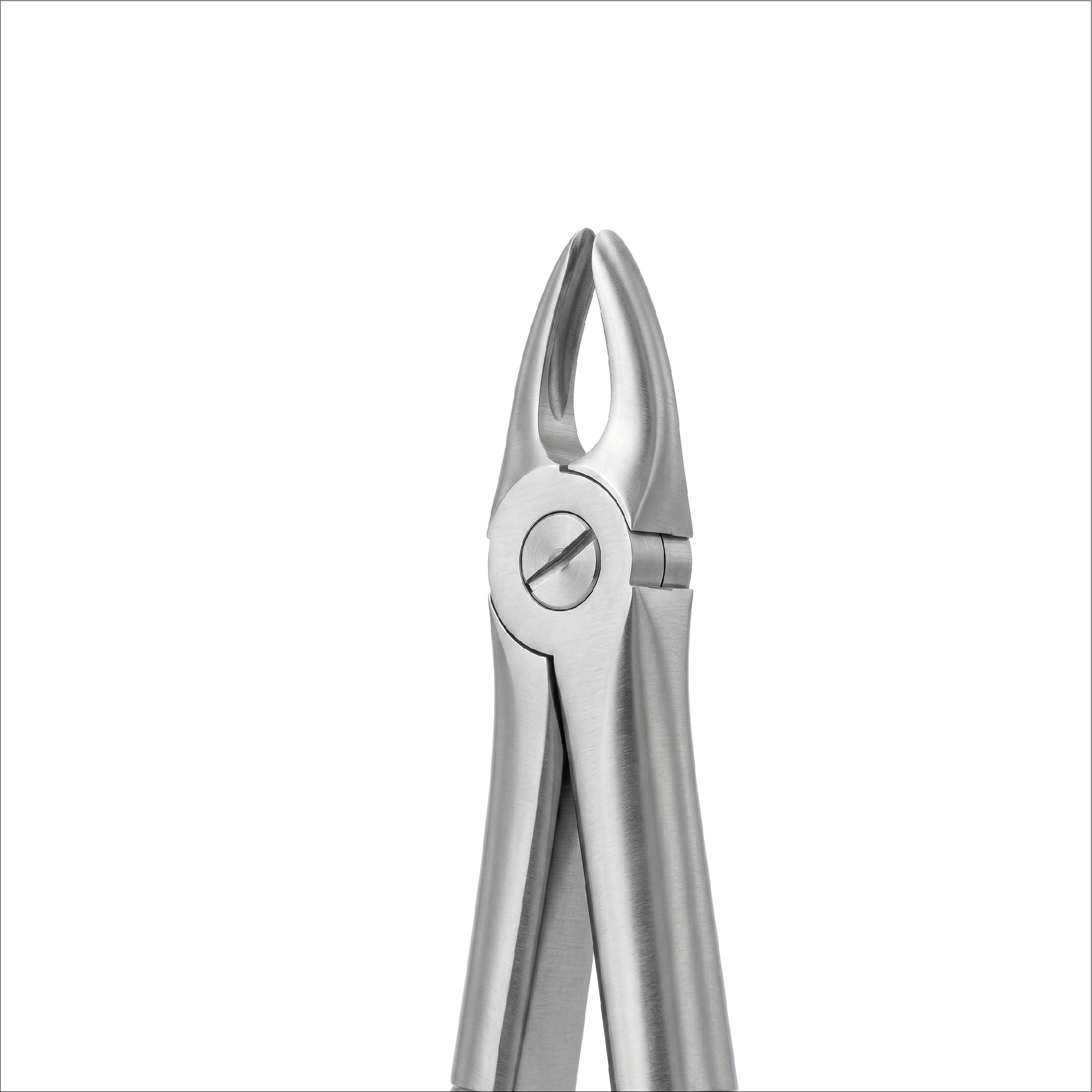 fig 37 upper incisors for children