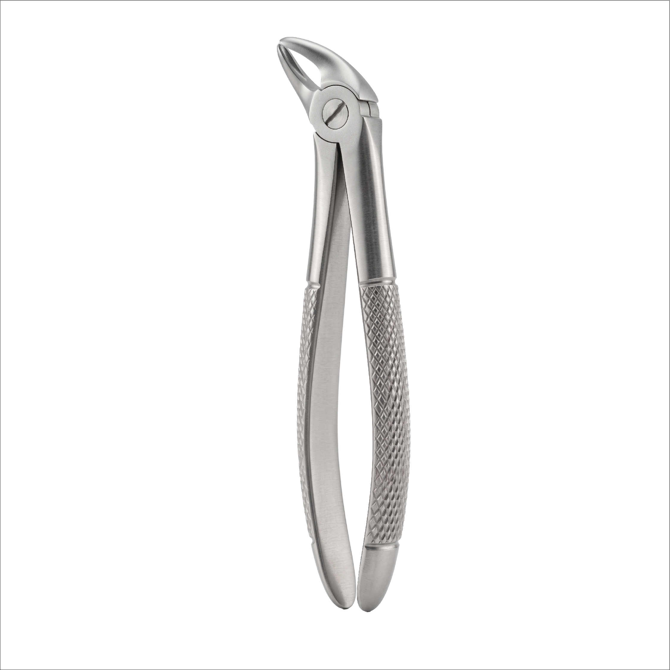 fig 38 lowe incisors & canines for children