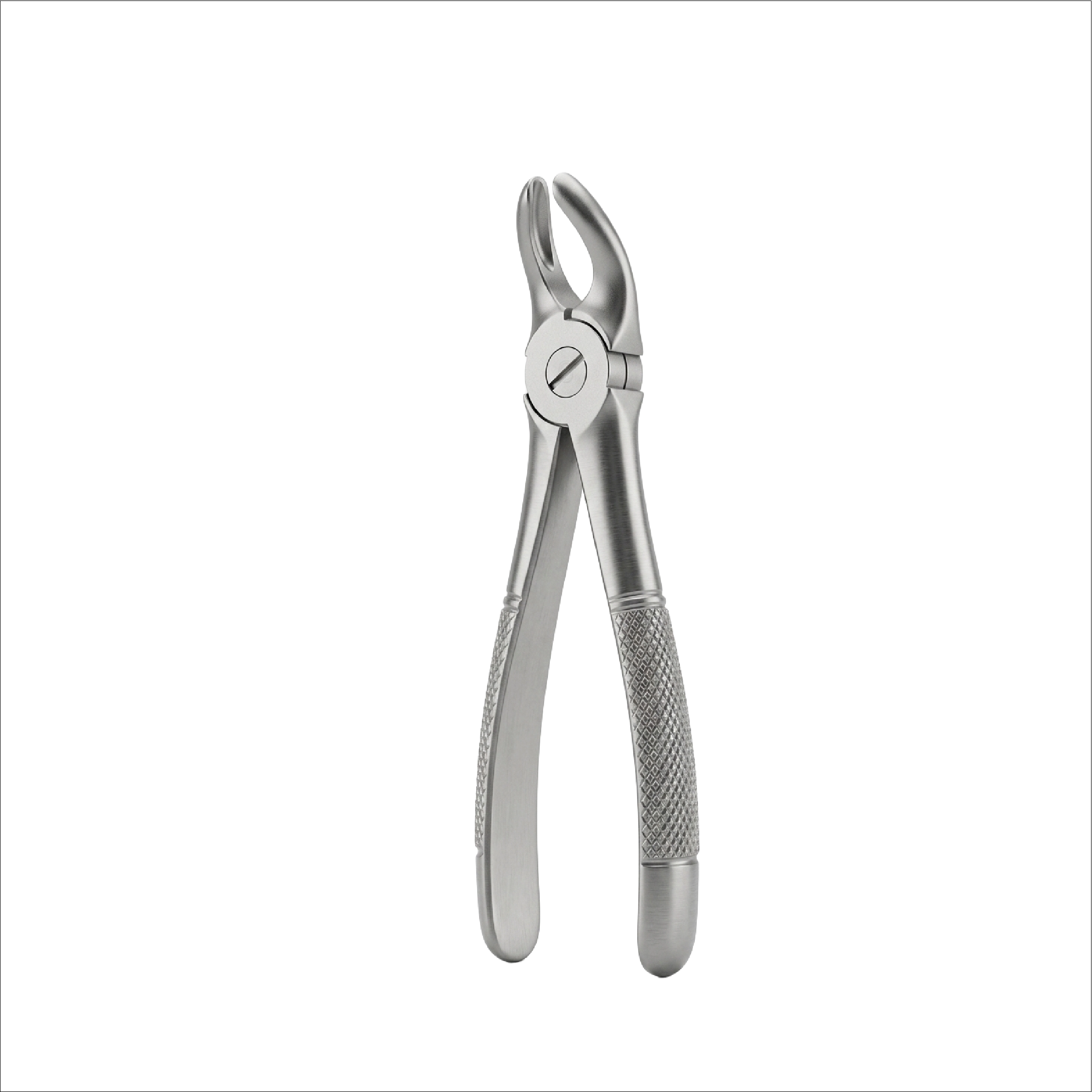 fig 39 upper molars for children