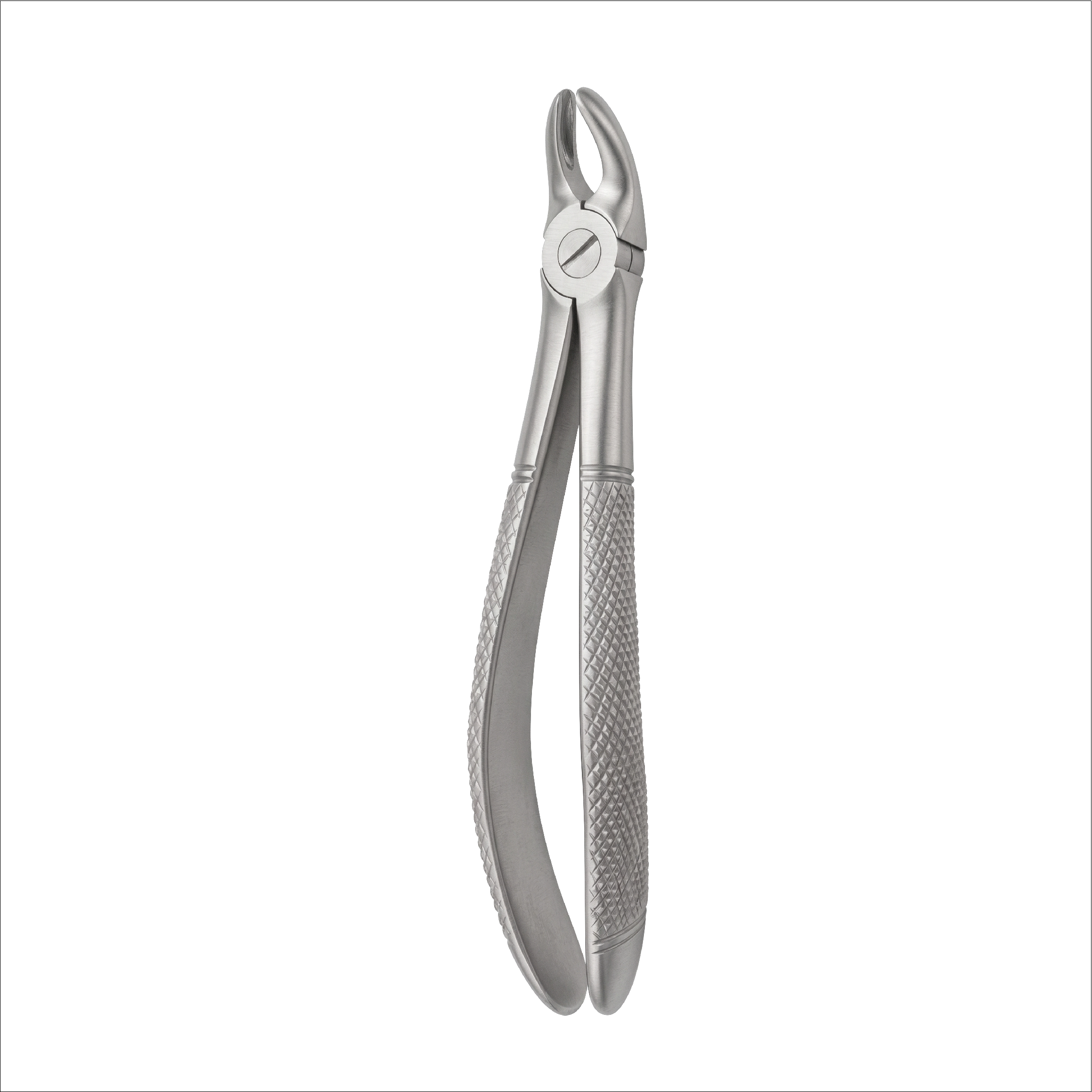 fig 39L upper molars left for childrens