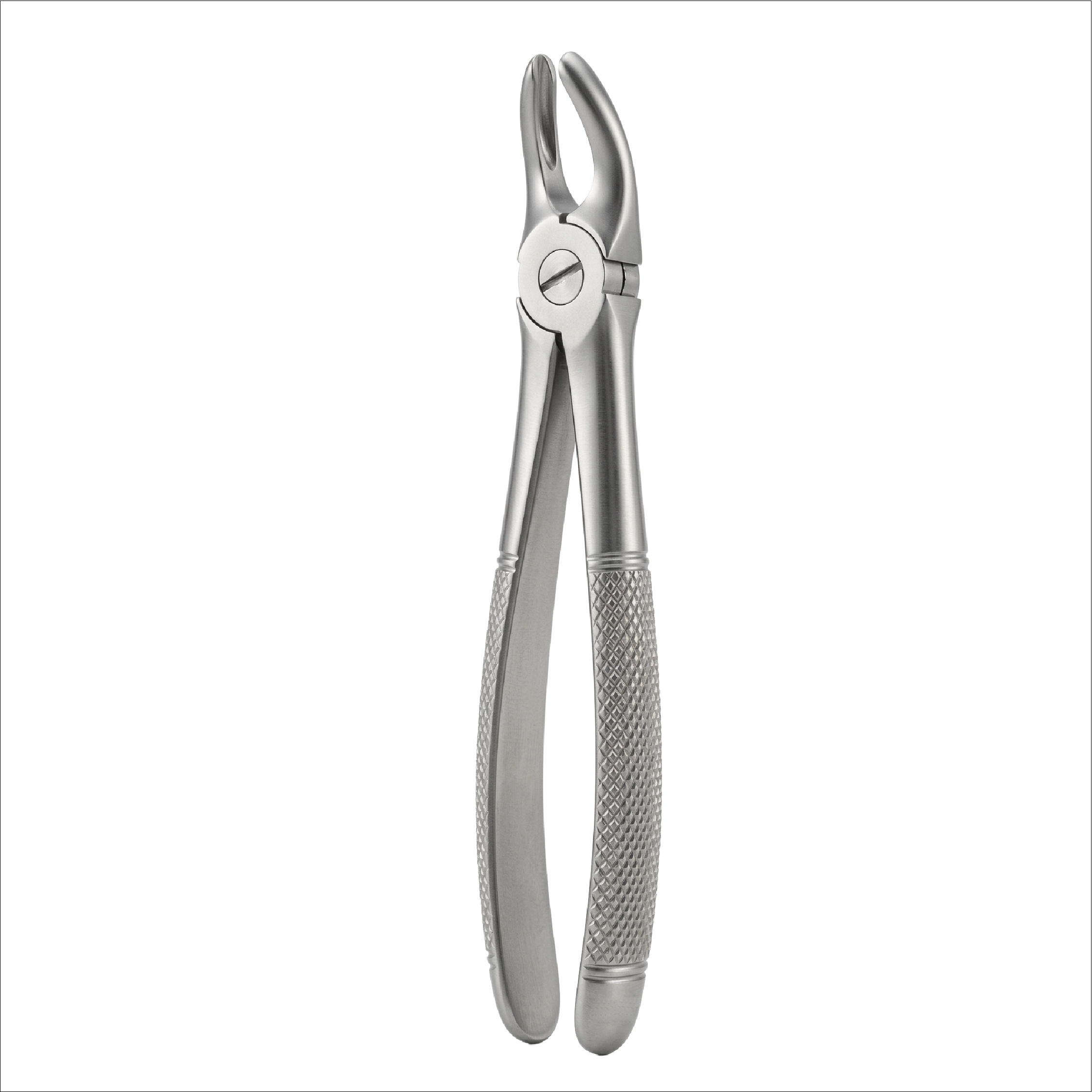 fig 39R upper morlars right for children