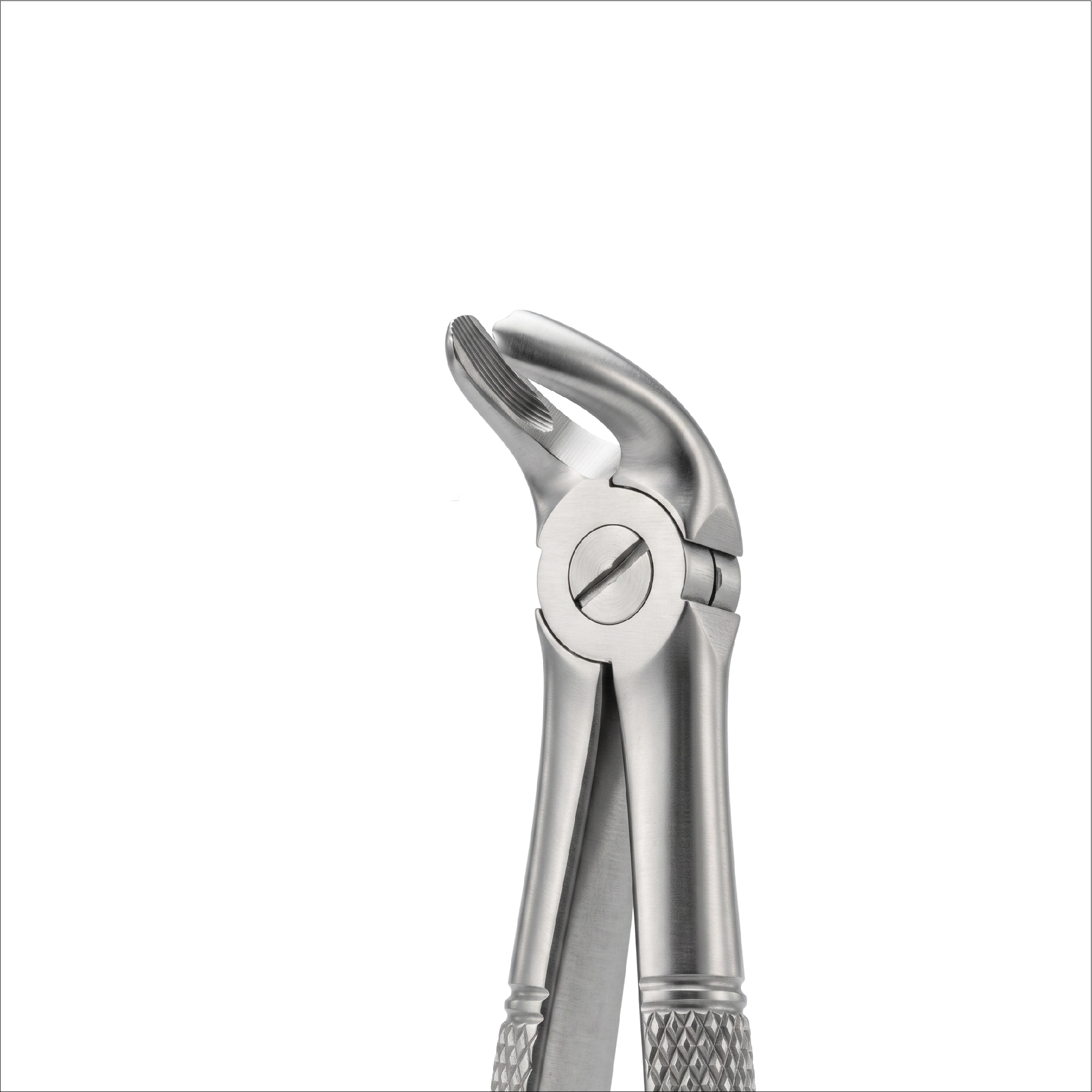 fig 40 lower molars for childrens