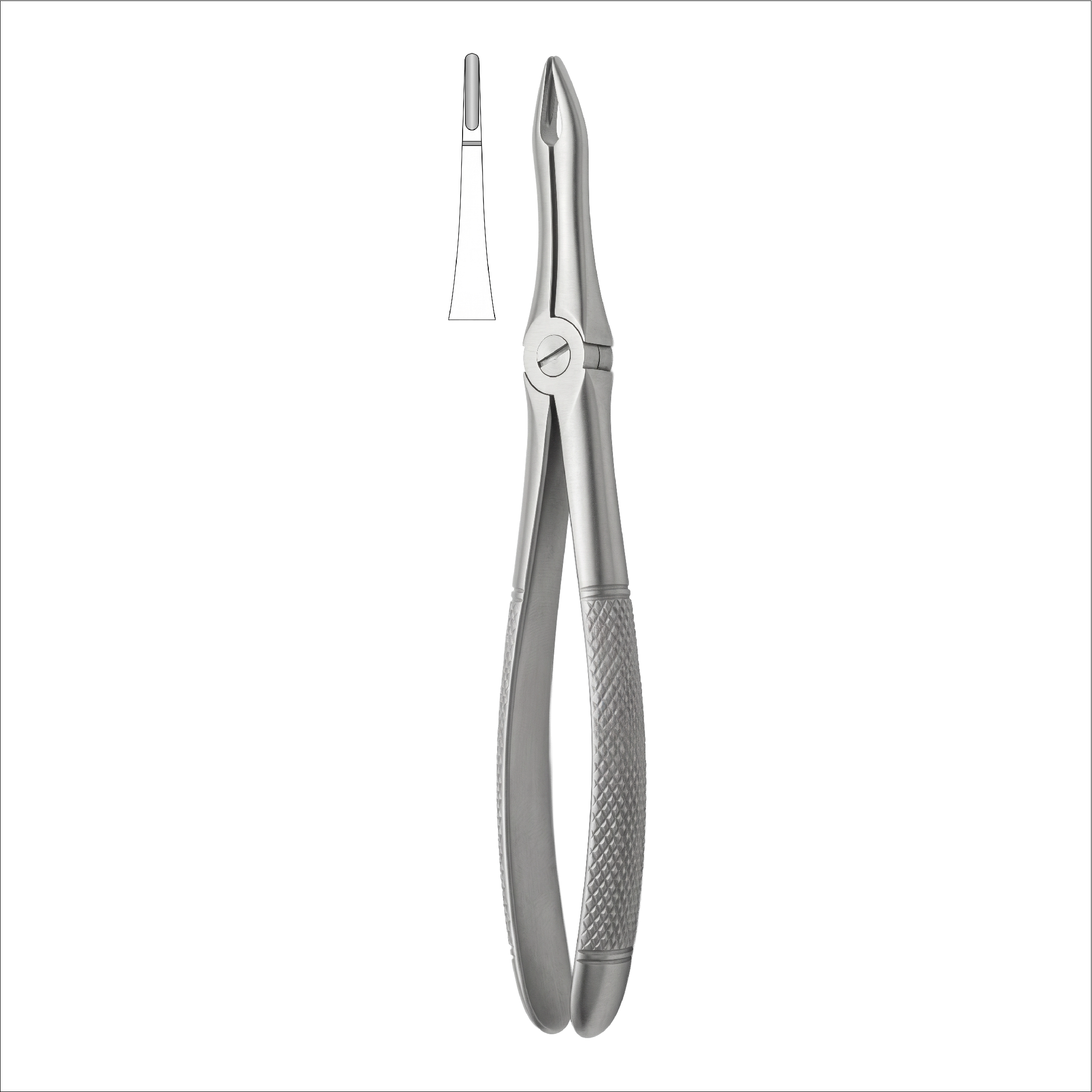 fig 41 upper roots