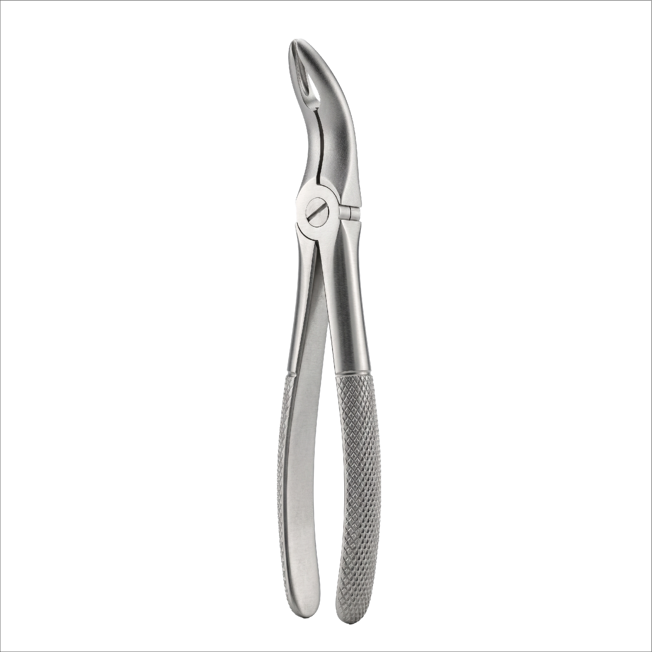 fig 44 upper roots