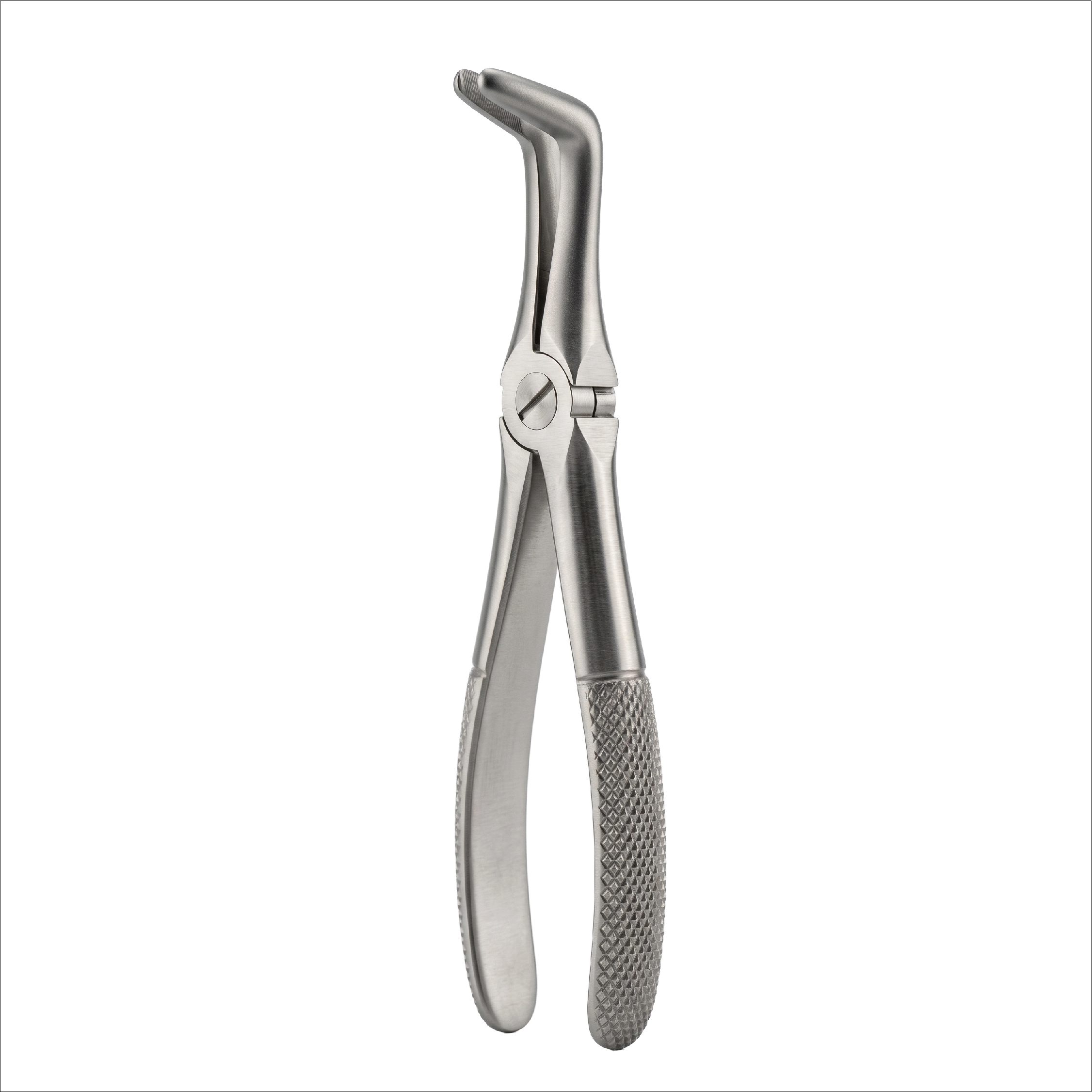 fig 45 lower roots