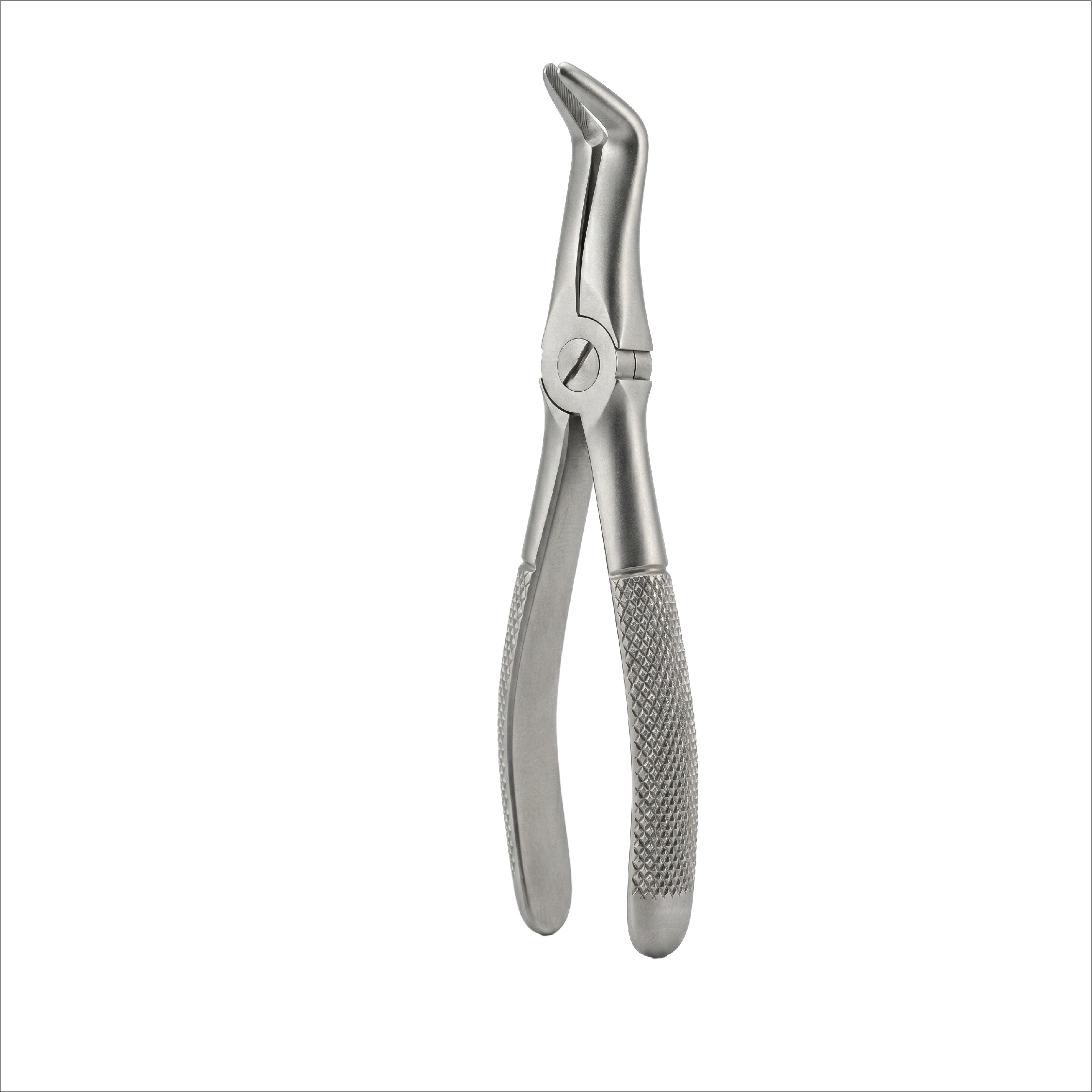 fig 49 upper roots