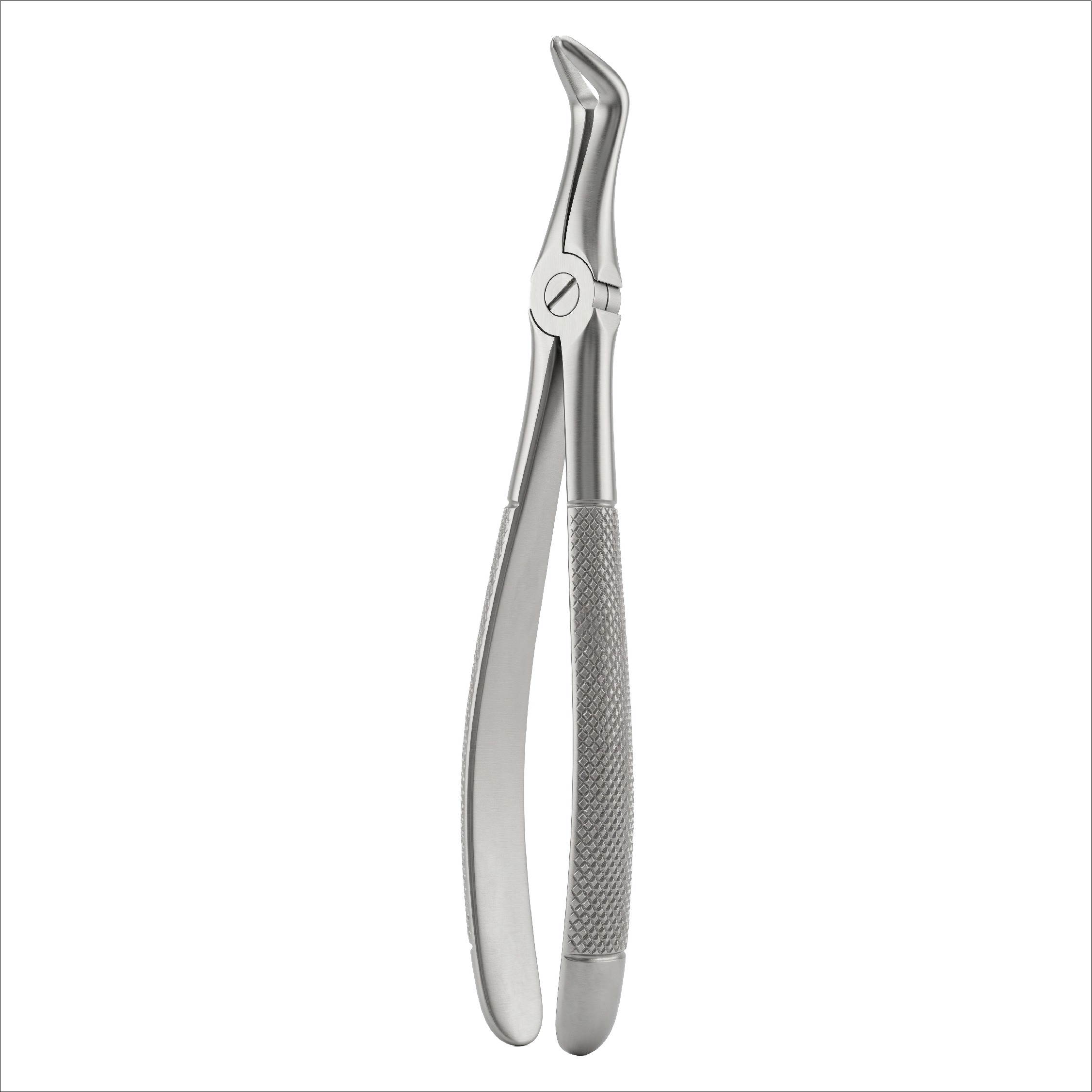 fig 50 upper roots