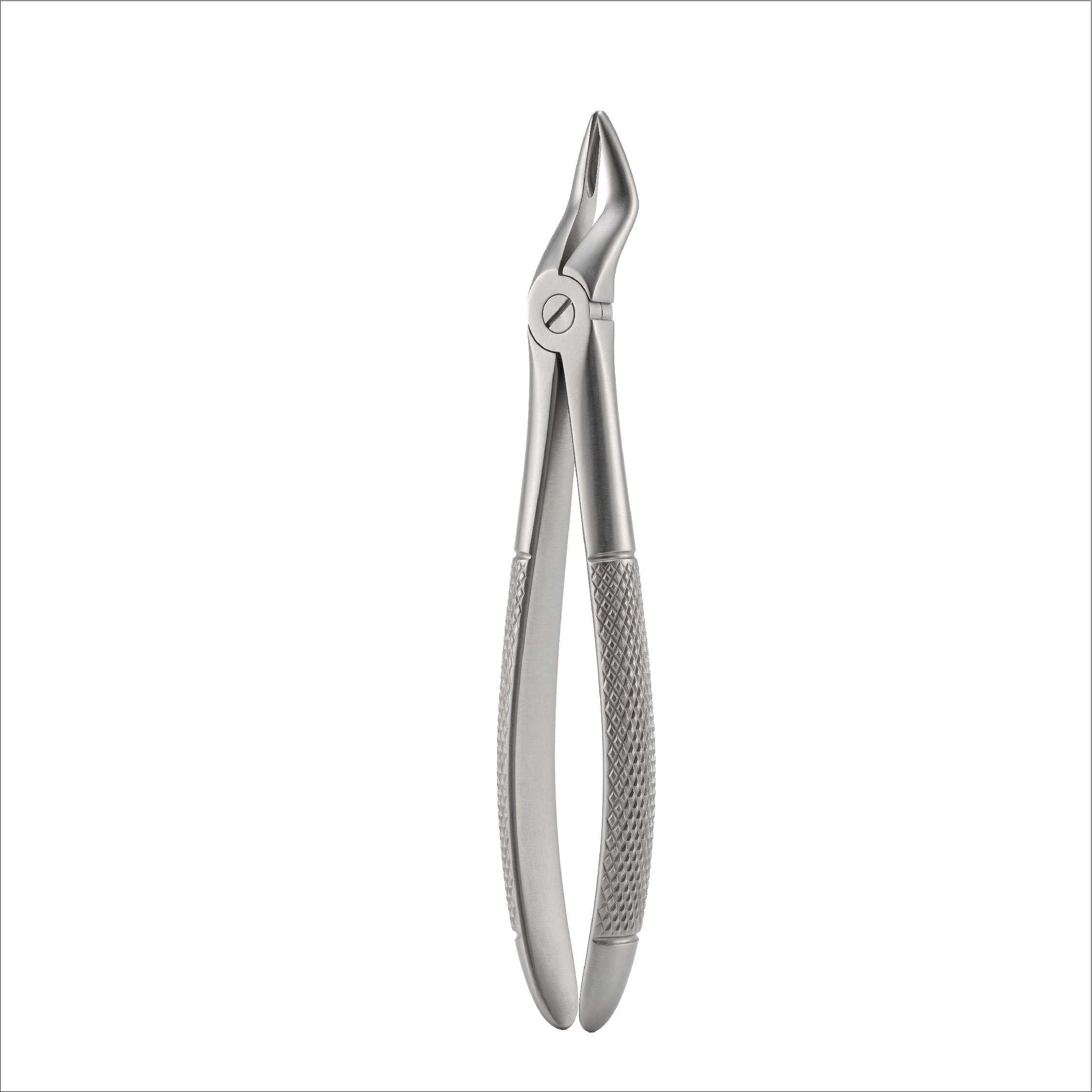 fig 51 upper roots