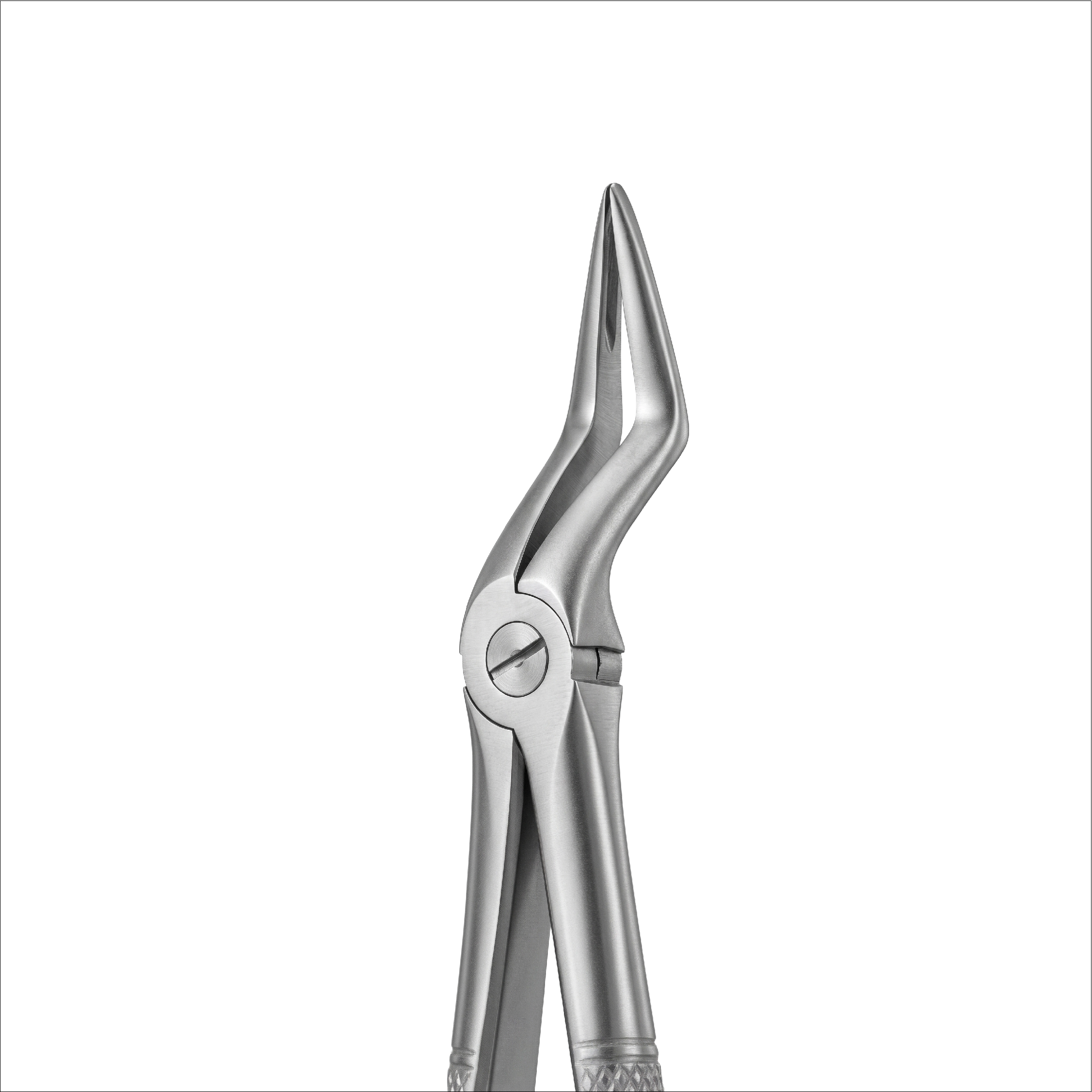 fig 51L upper roots