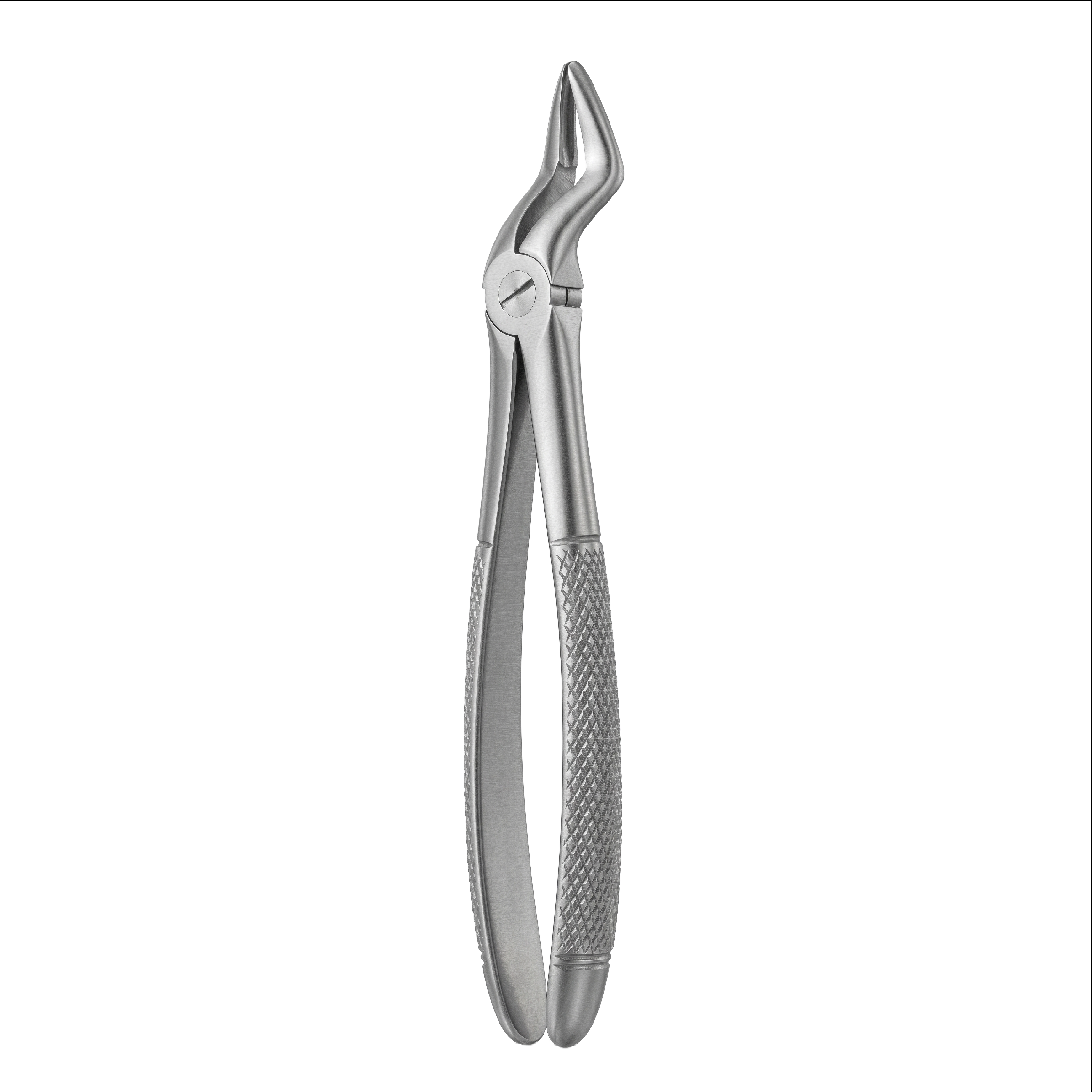 fig 51S upper roots for childrens