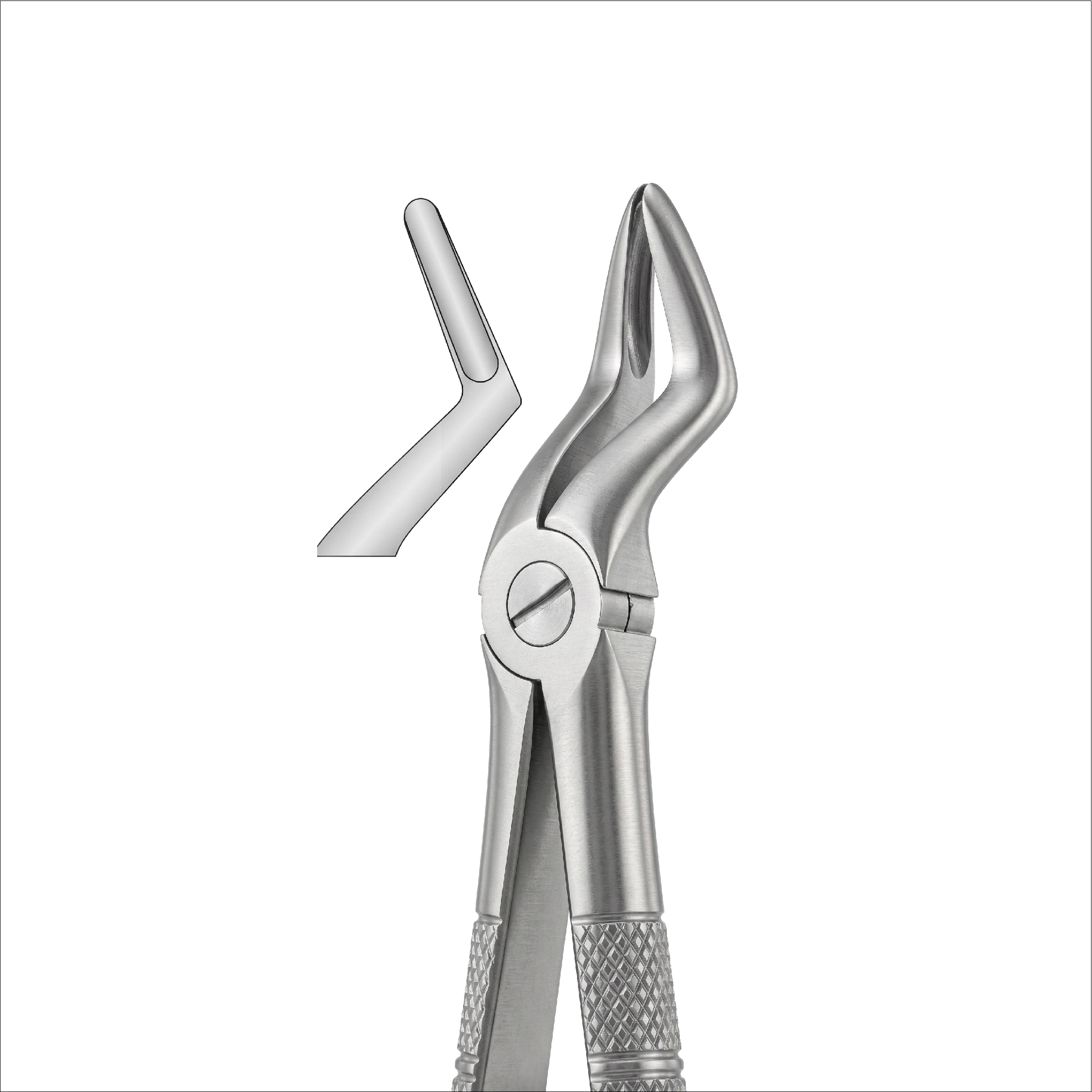 fig 52 upper roots