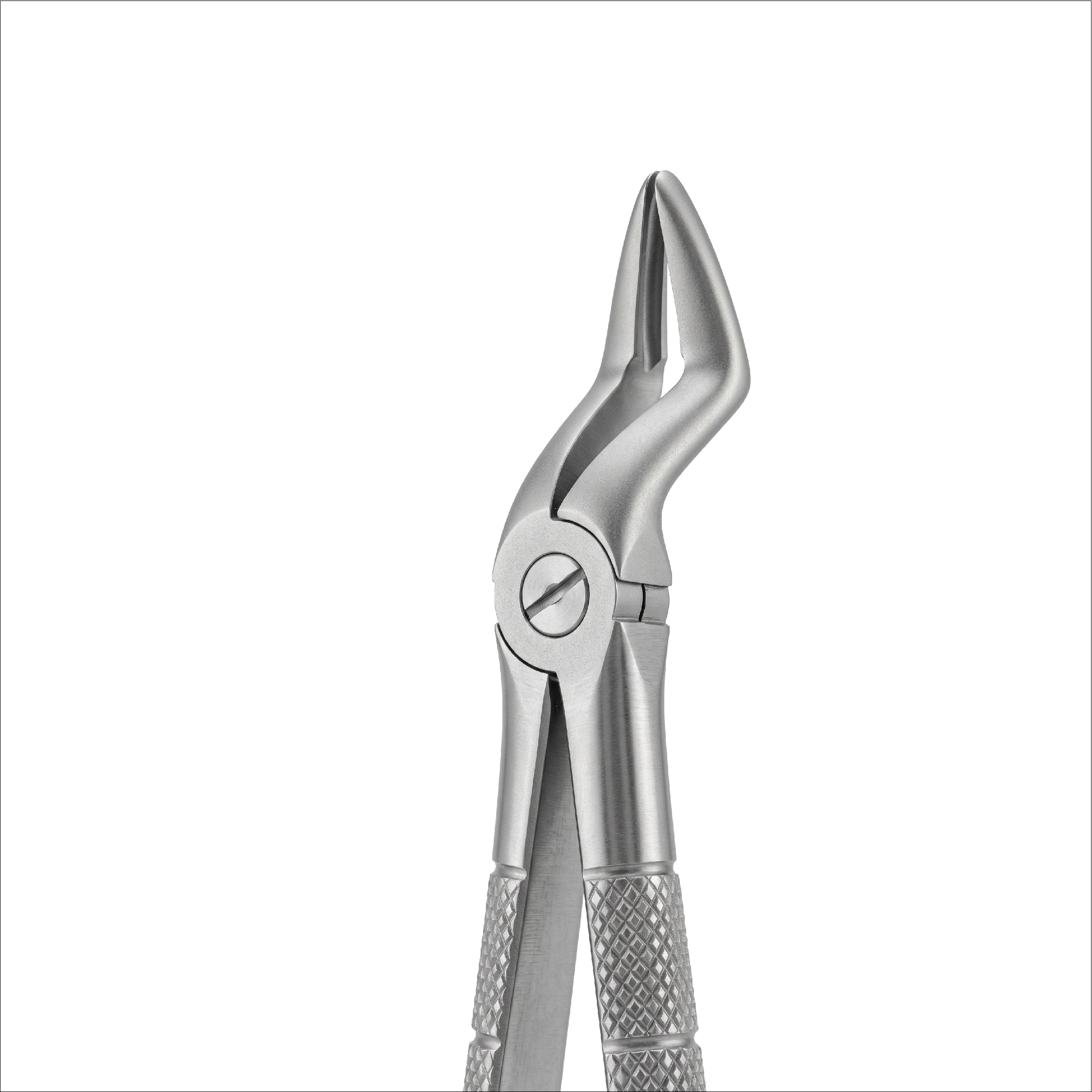 fig 52A upper teeth and resection