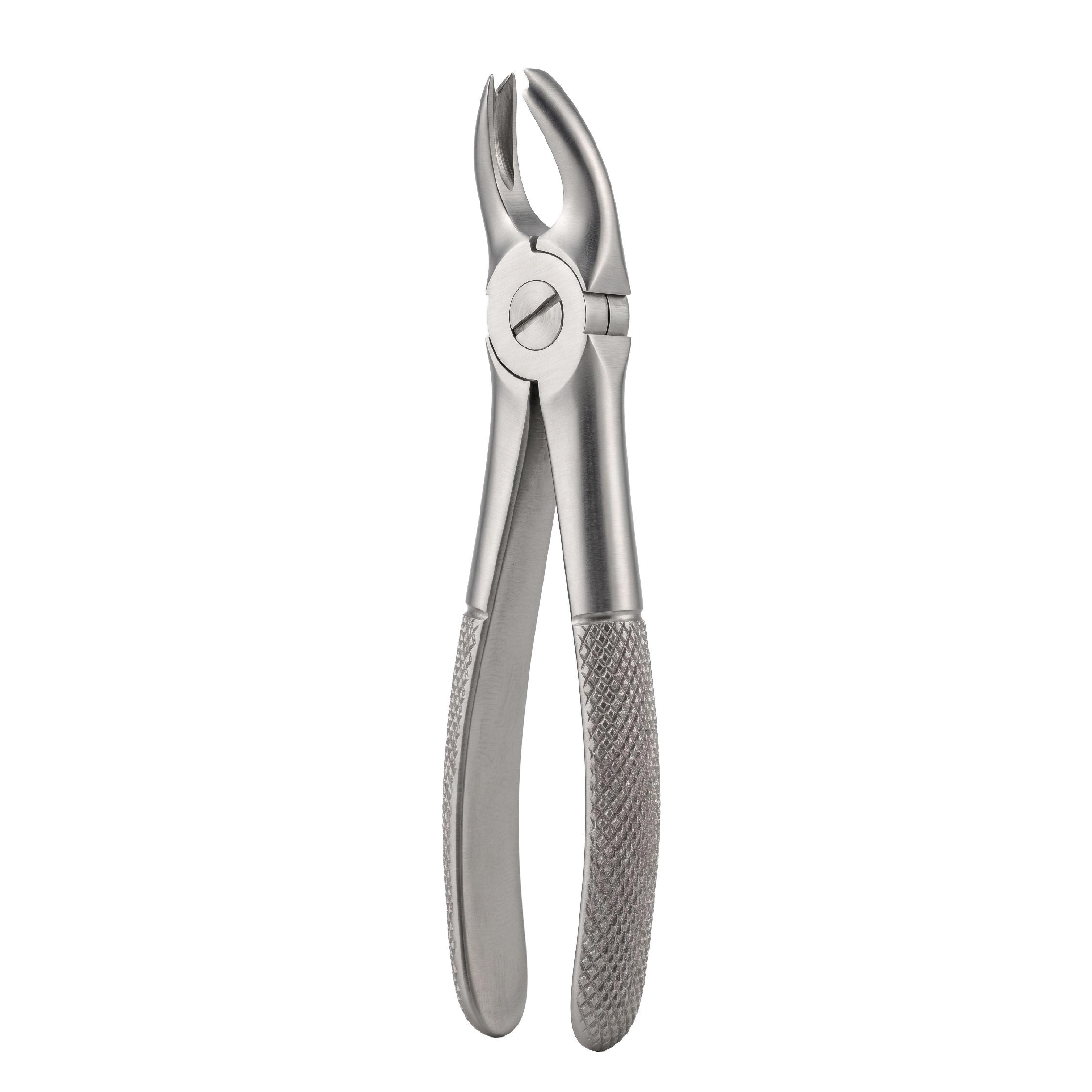 fig 65L upper molars left