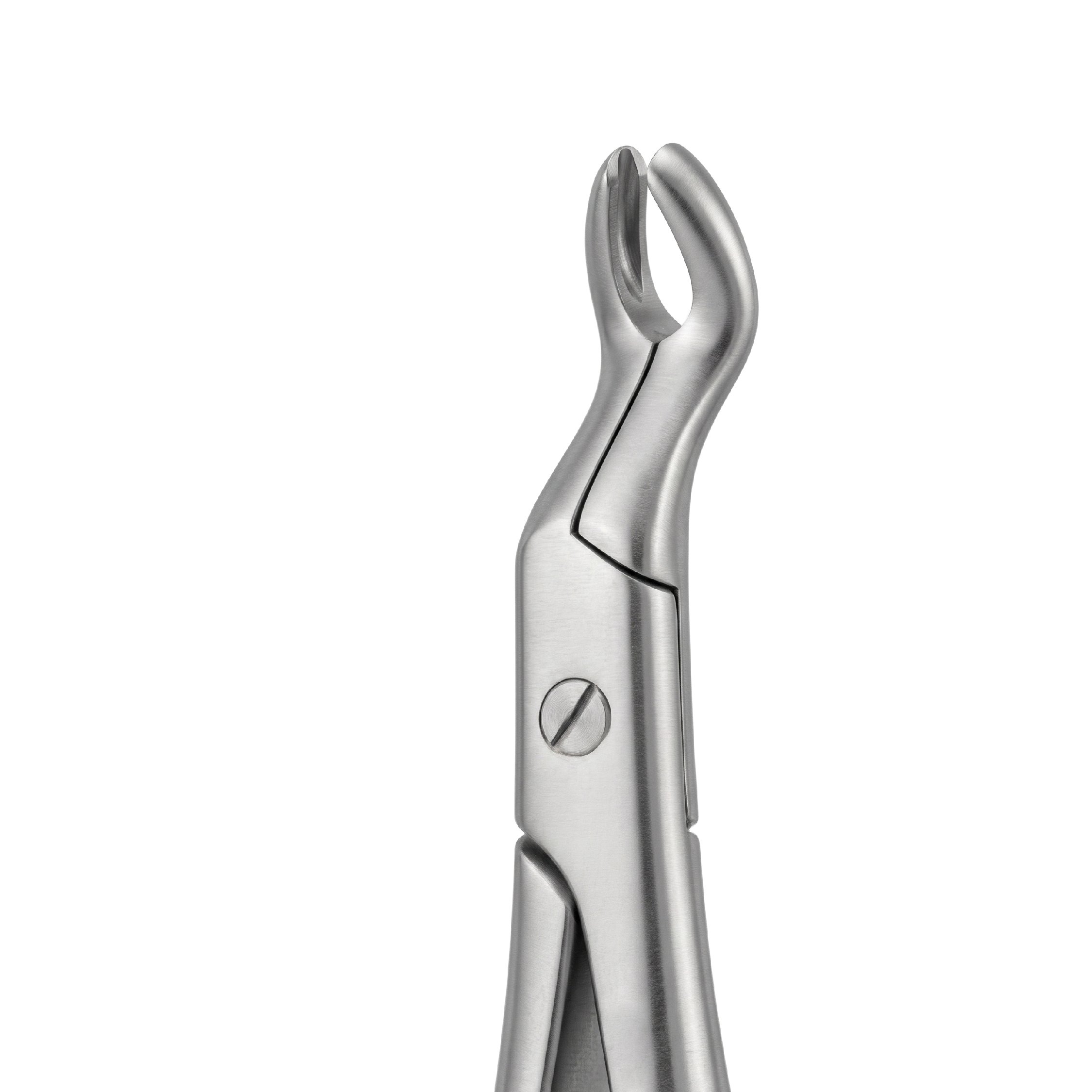 fig 67 upper third molars