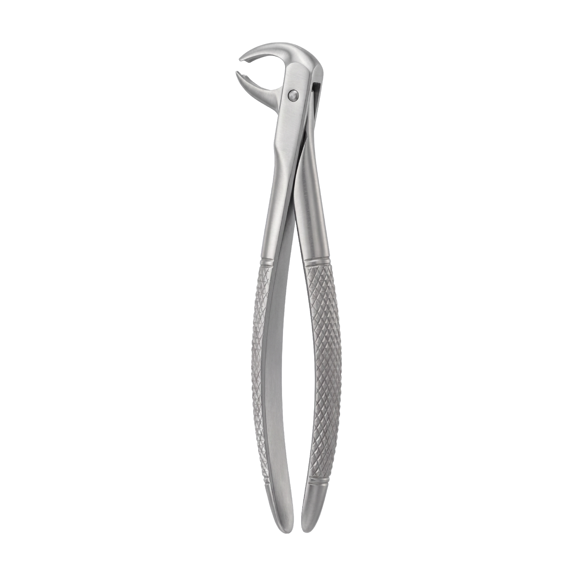 fig 73A lower molars