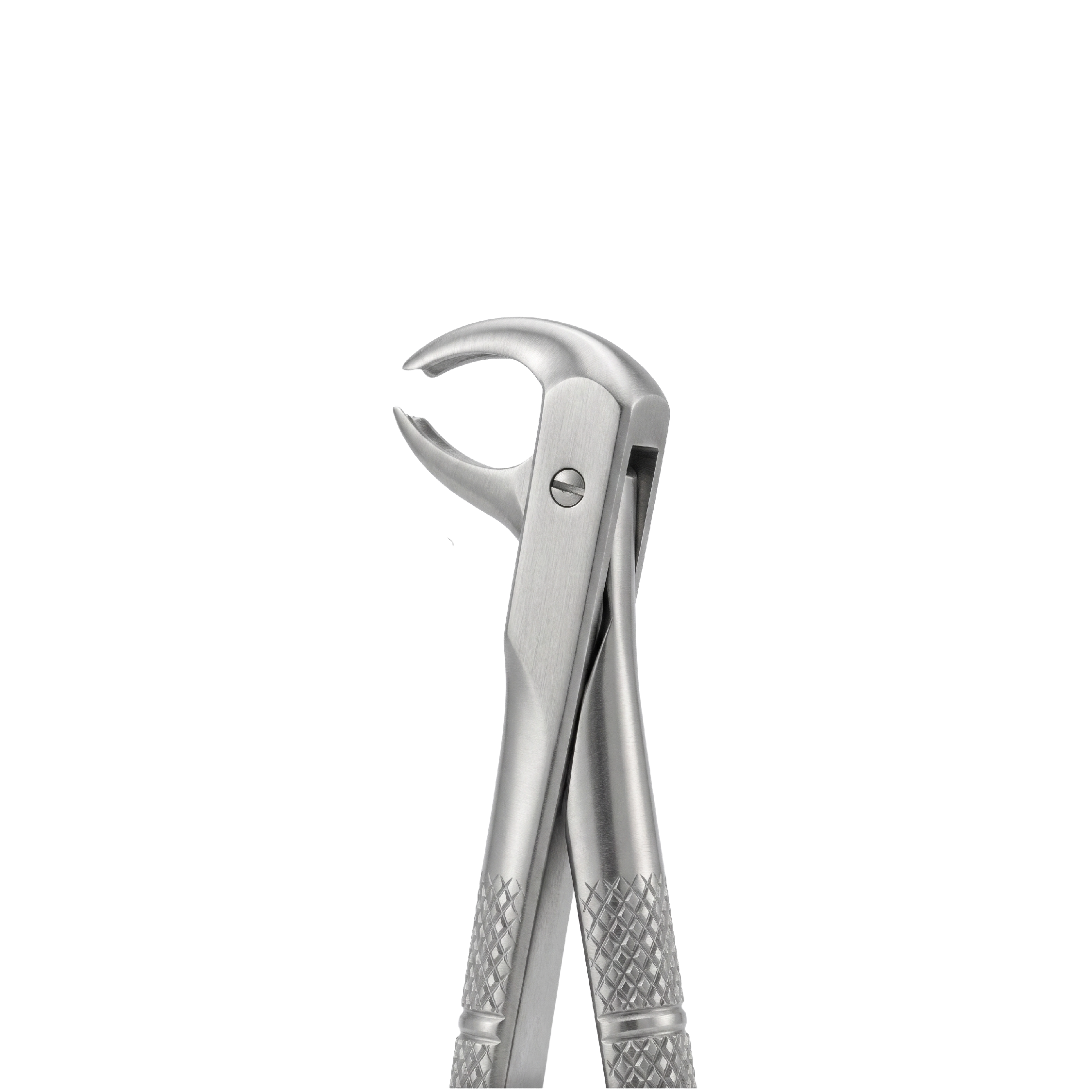 fig 73B lower molars for childrens