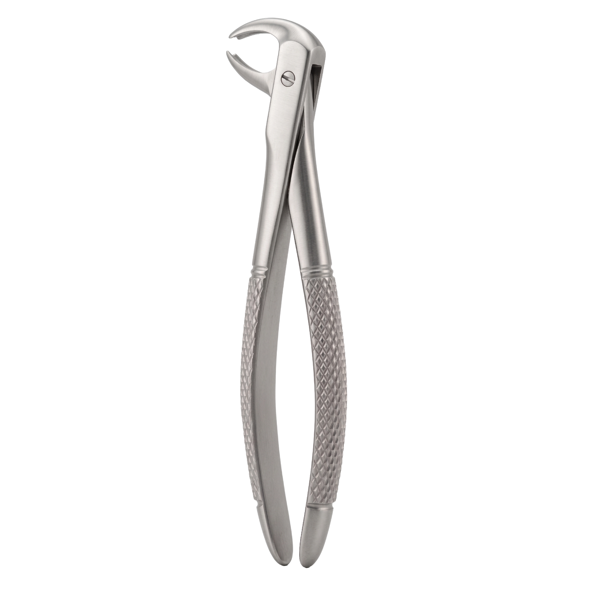fig 73K lower molars for childrens