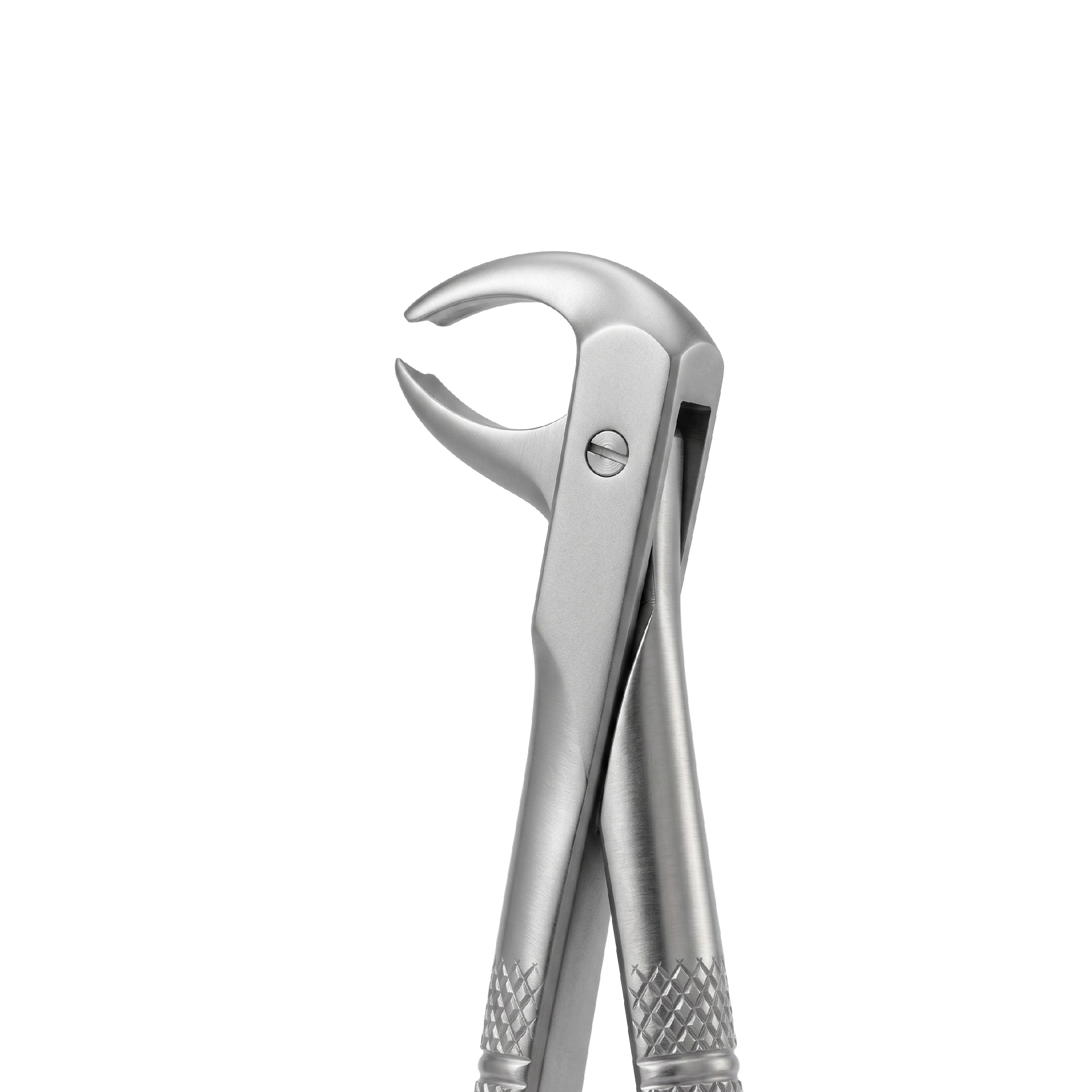 fig 73S lower molars