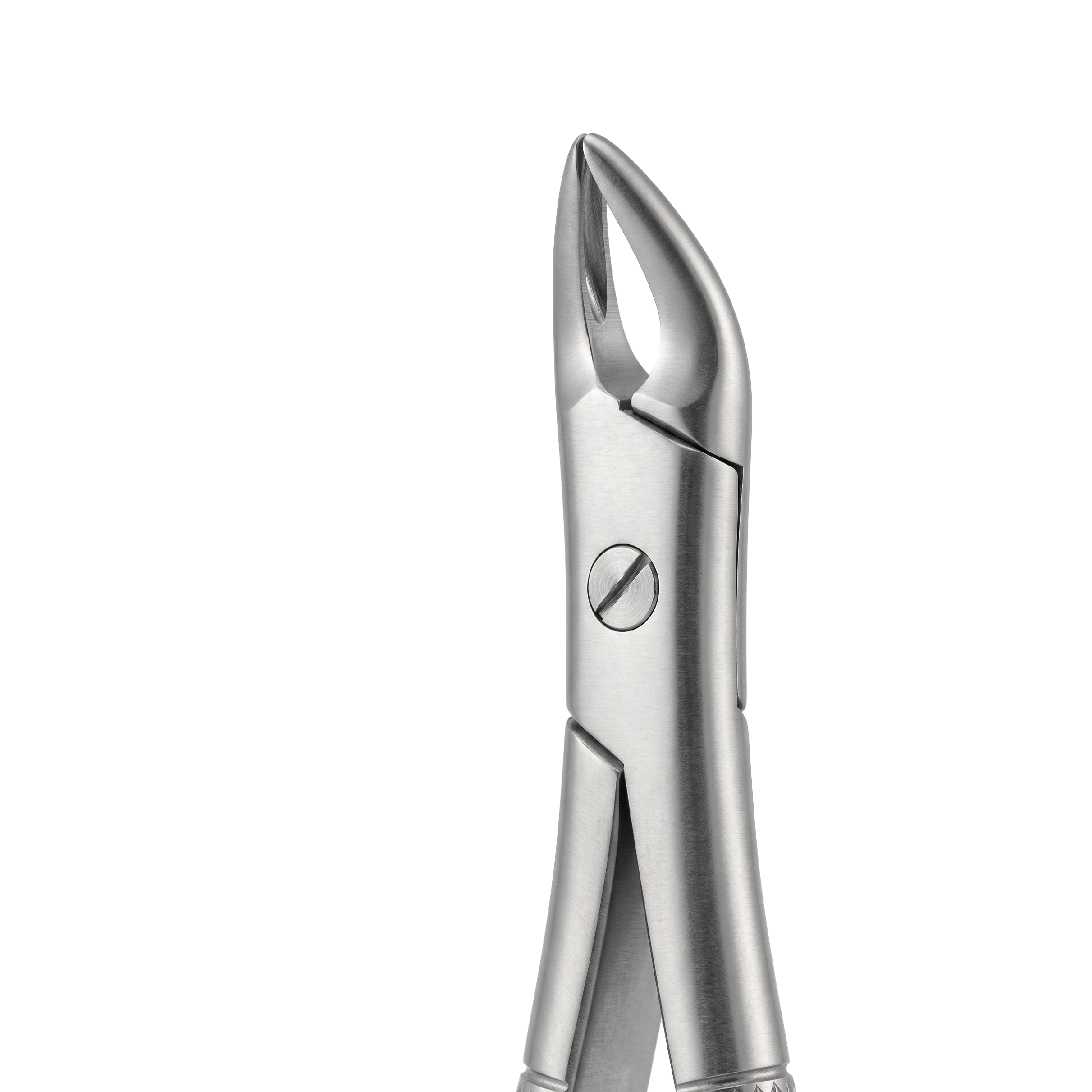 fig 76 upper rrots