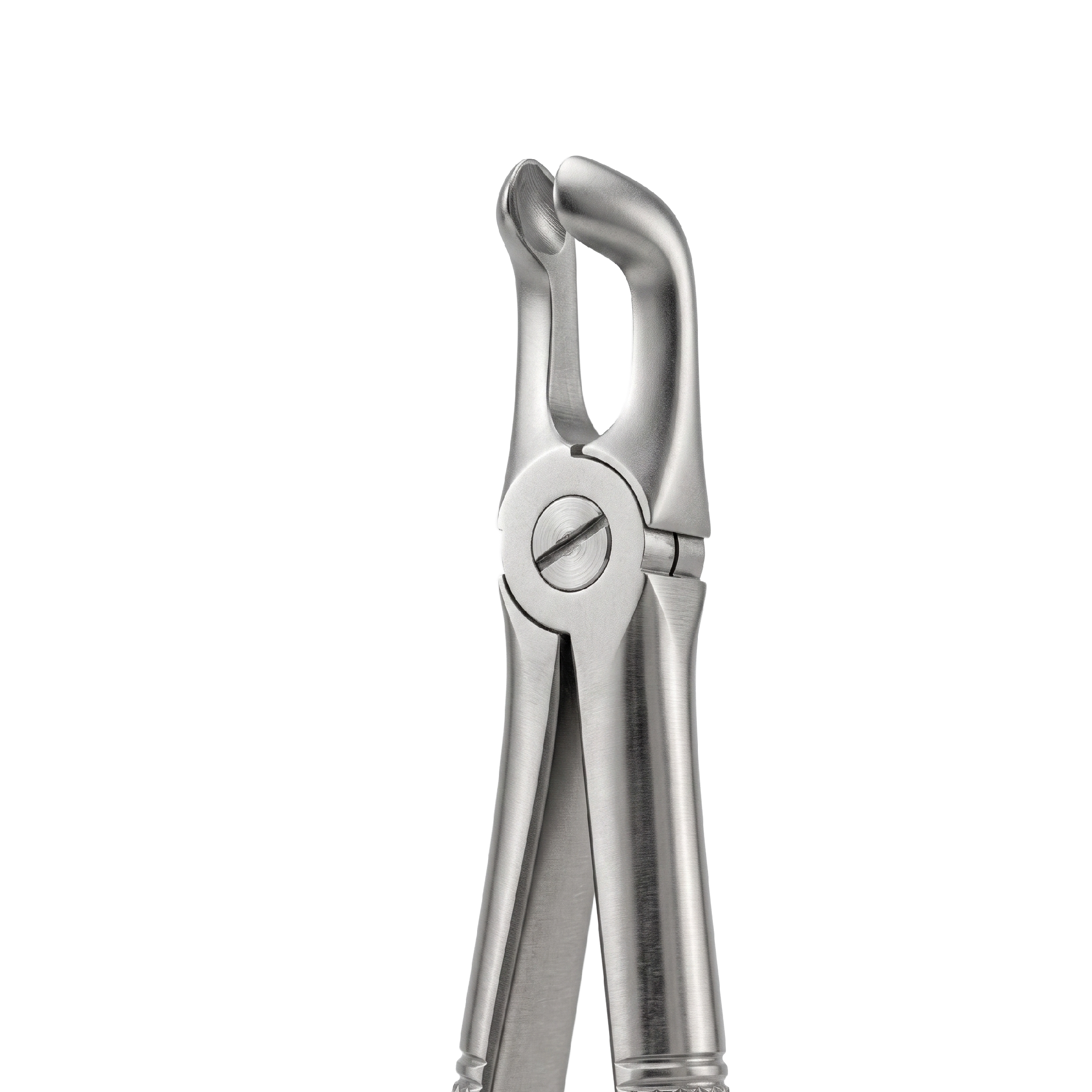 fig 79SA lower third molars