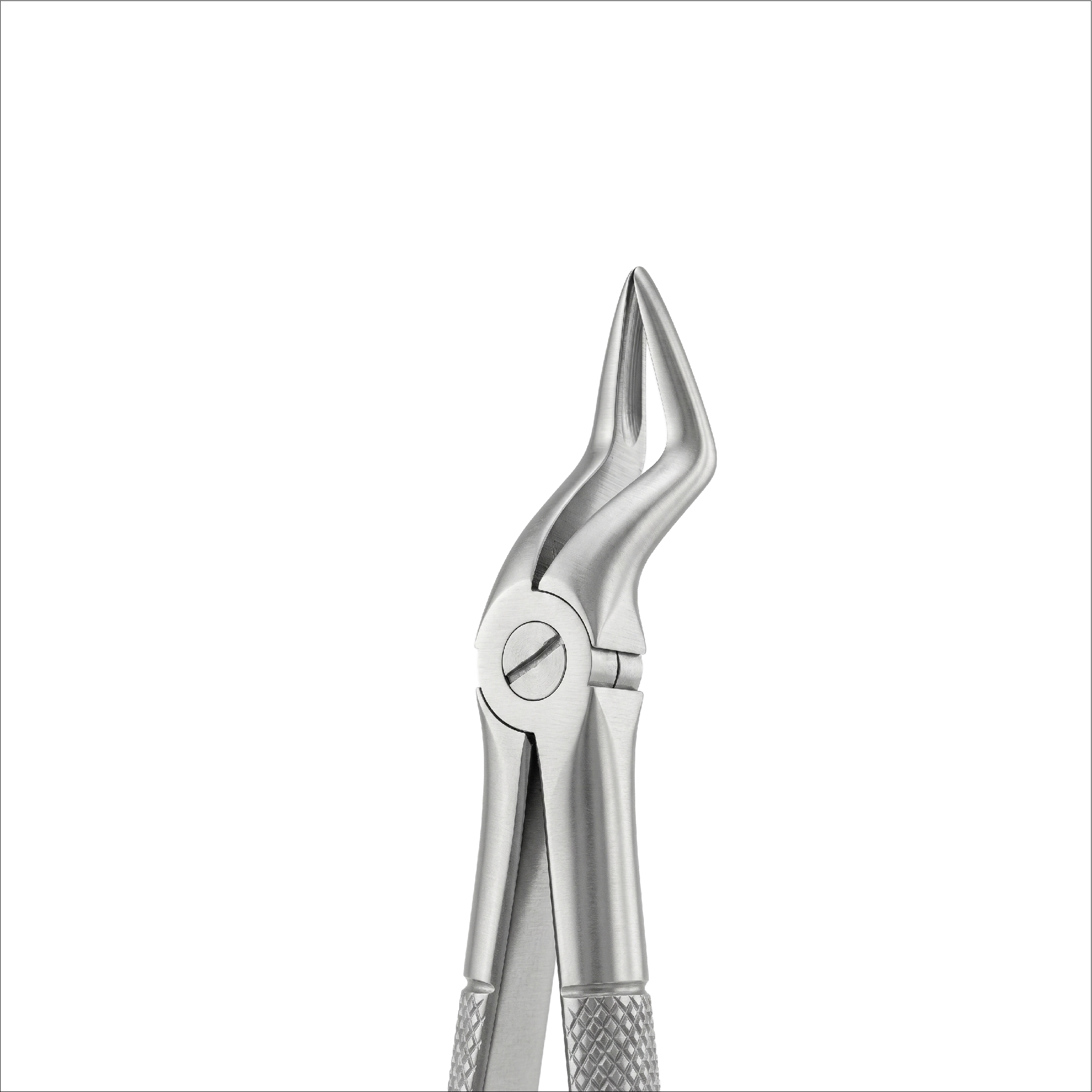fig51A upper roots
