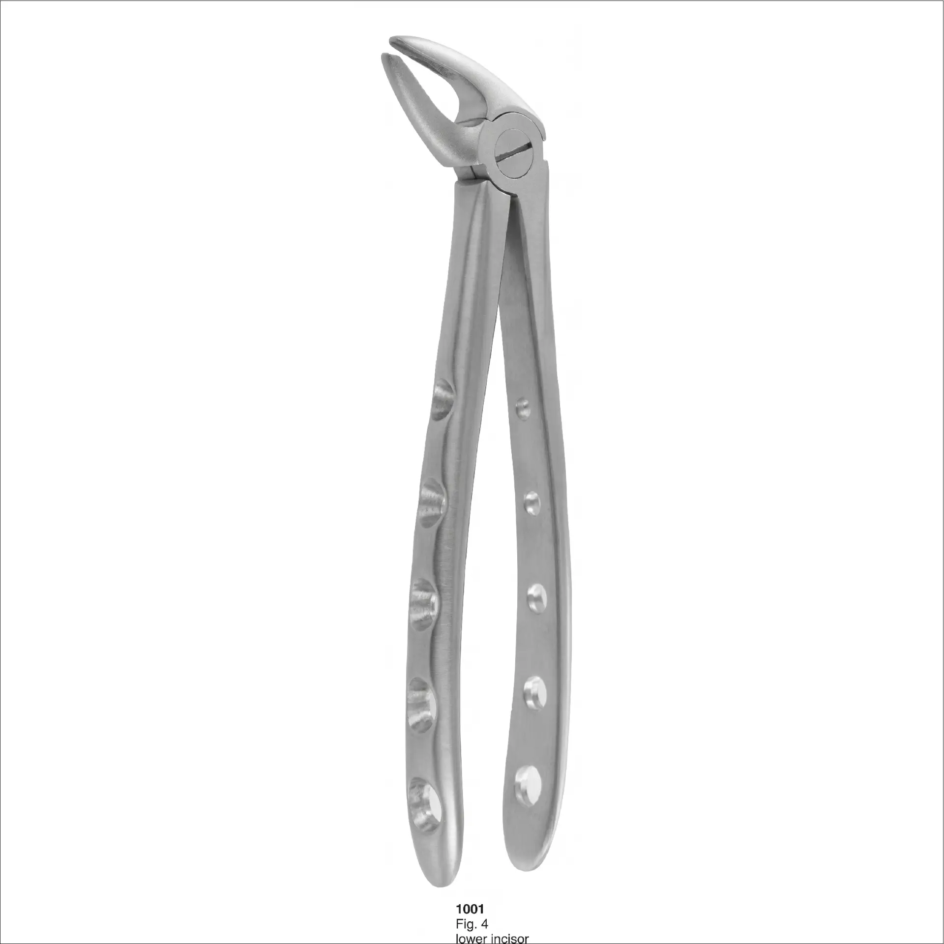 lover incisor FIG 4