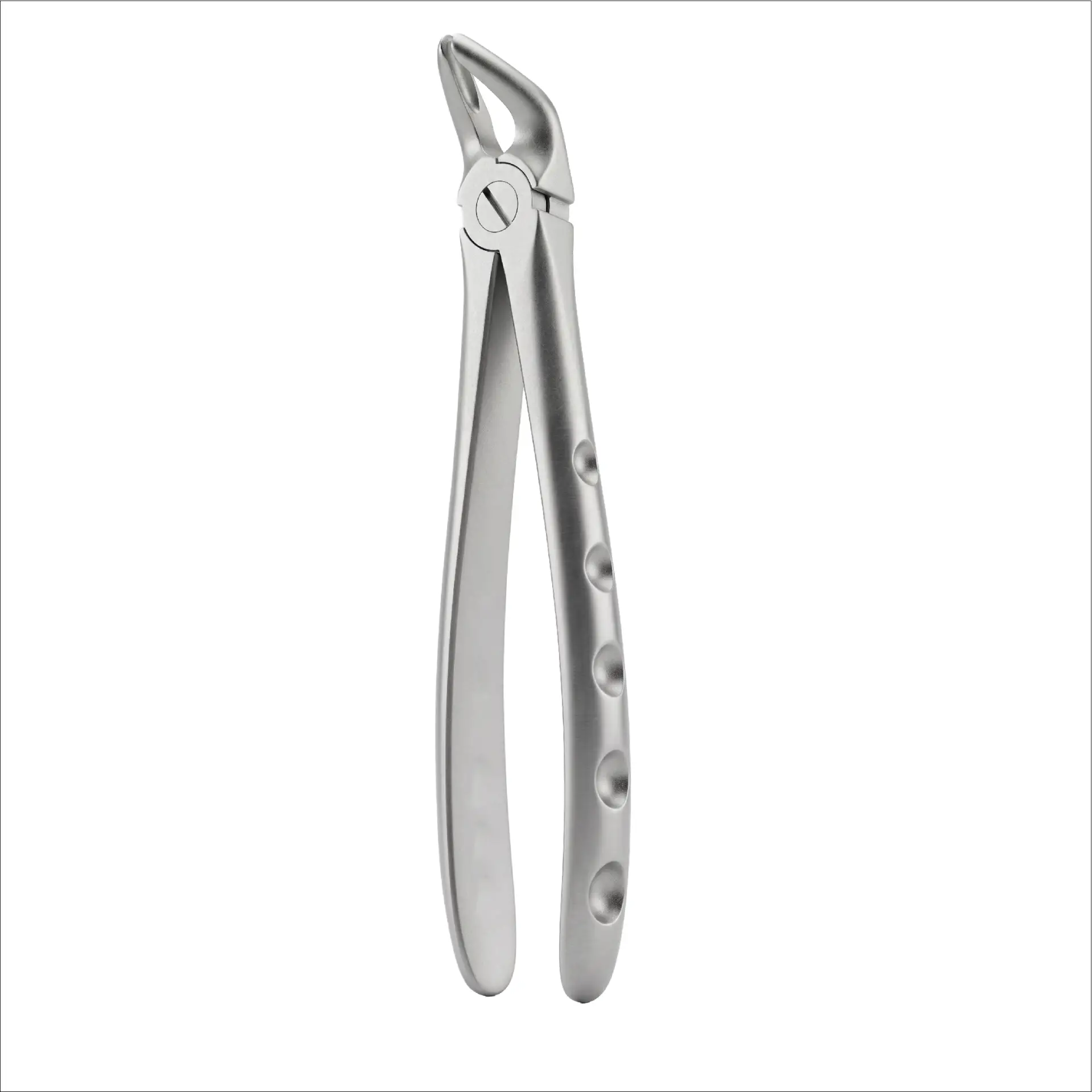 lover premolars FIG 8