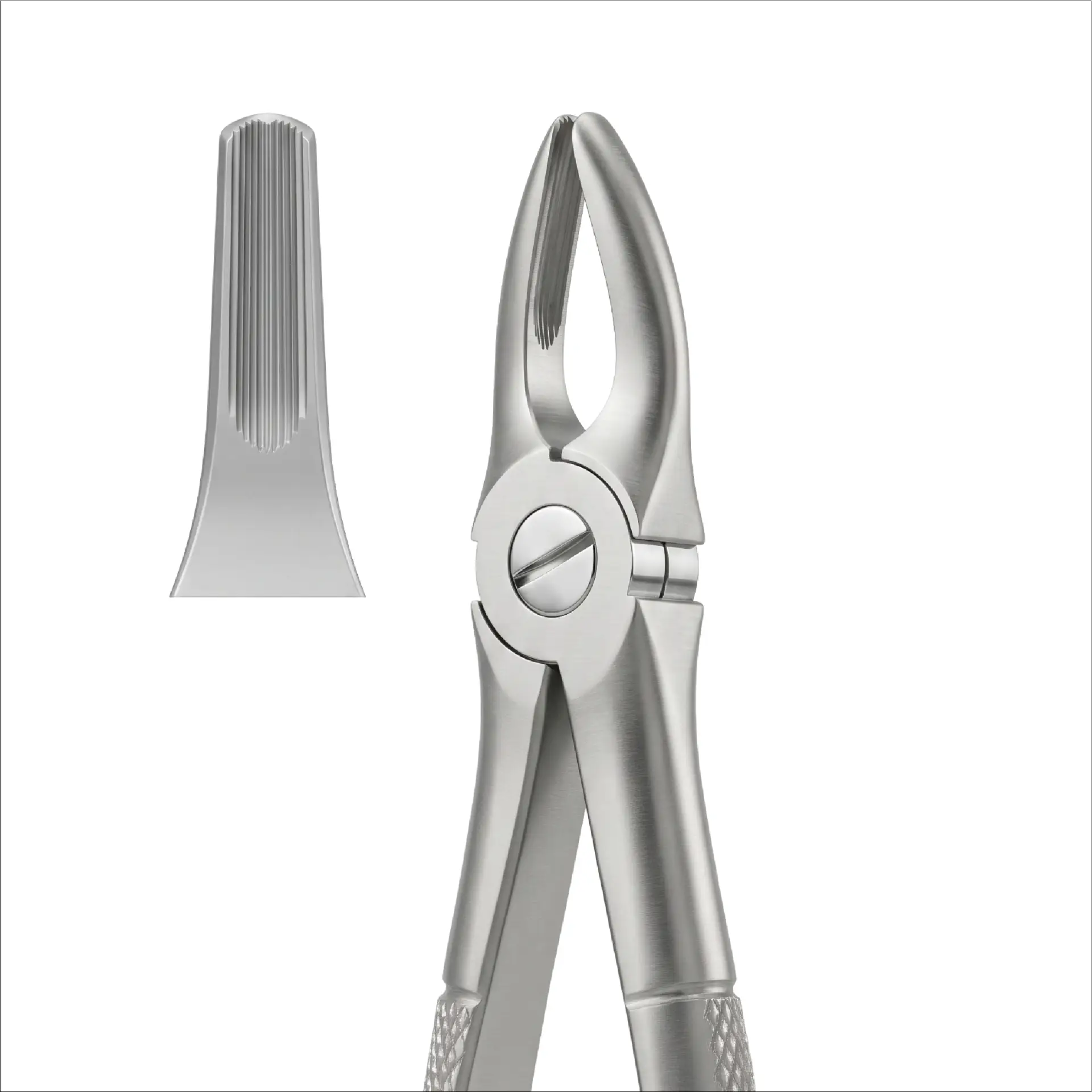 upper laterals and canines FIG 2 1004