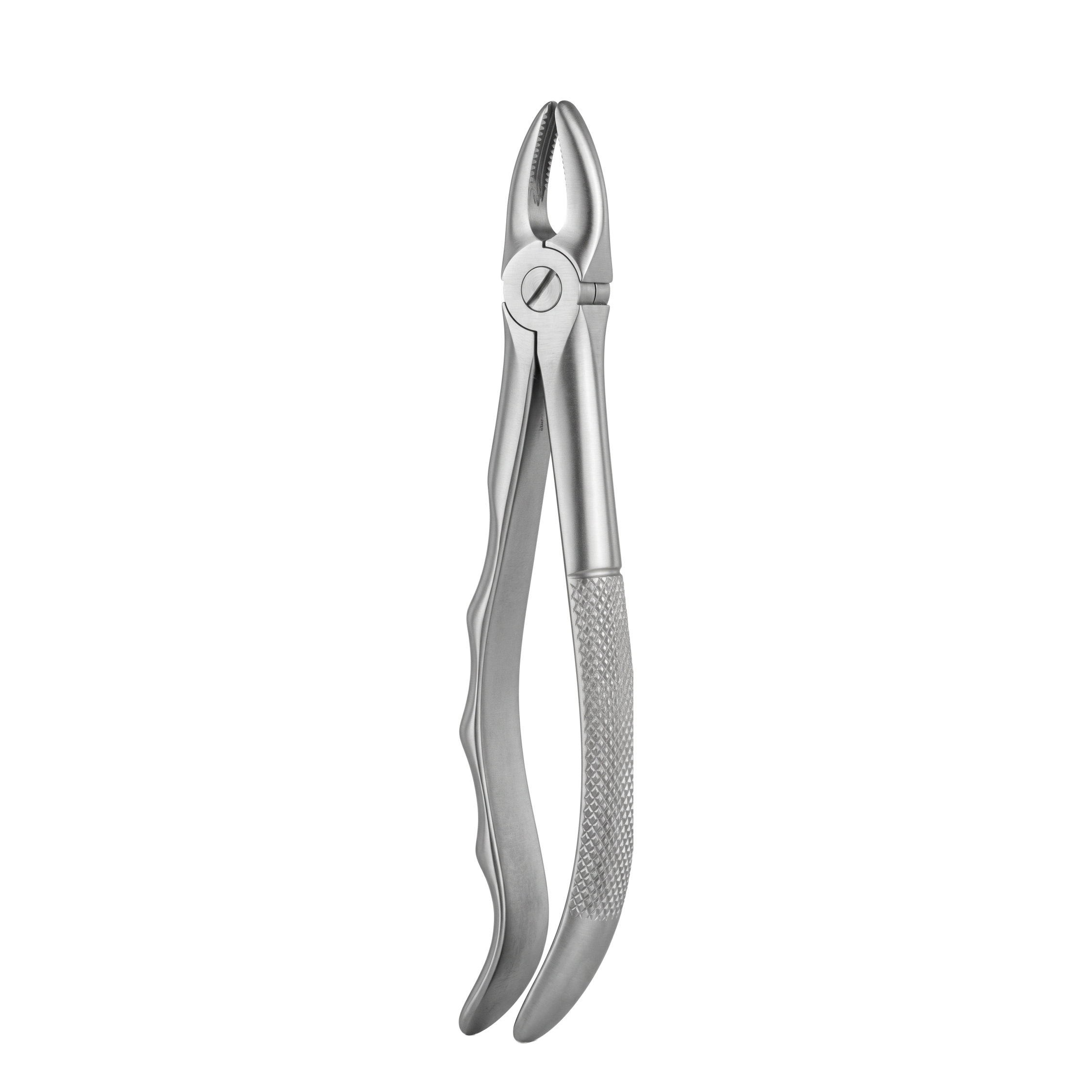 fig 1 upper laterals and canines