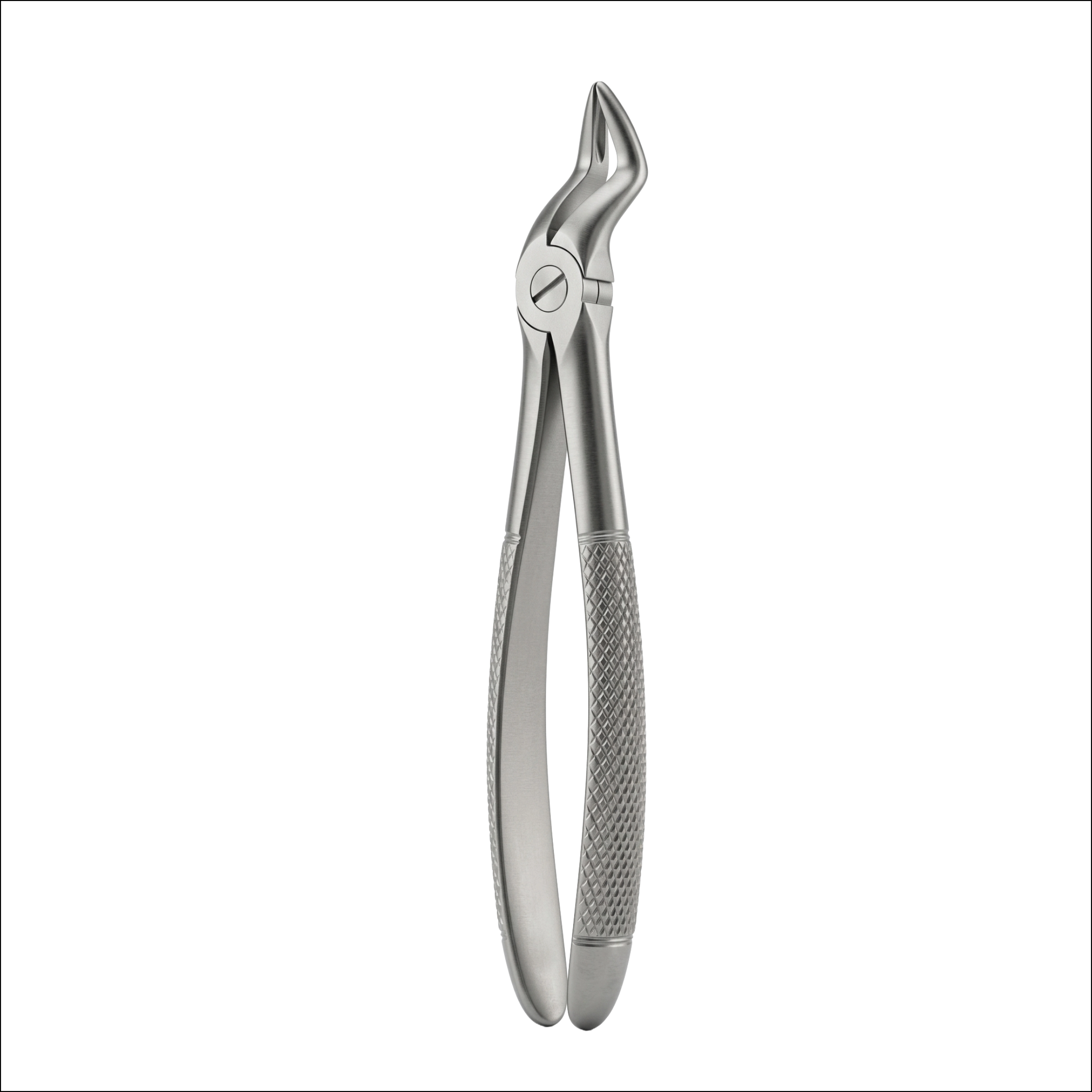 fig 112 upper roots