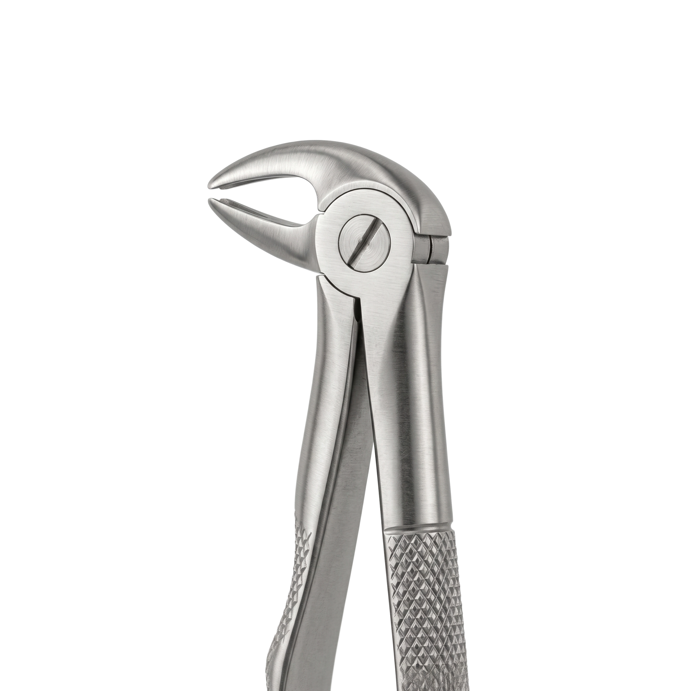 fig 13S lower premolars for childrens