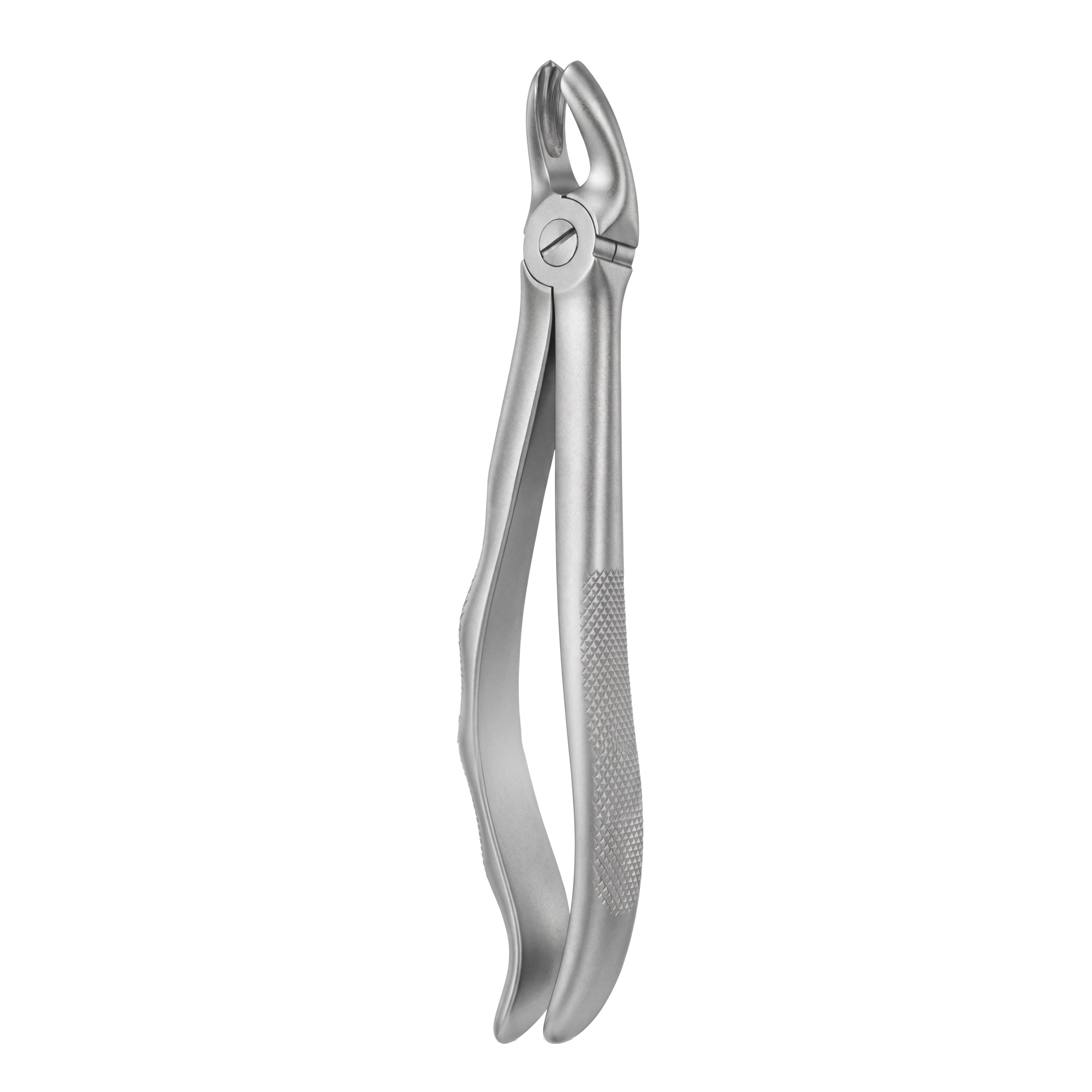 fig 17 upper molars right