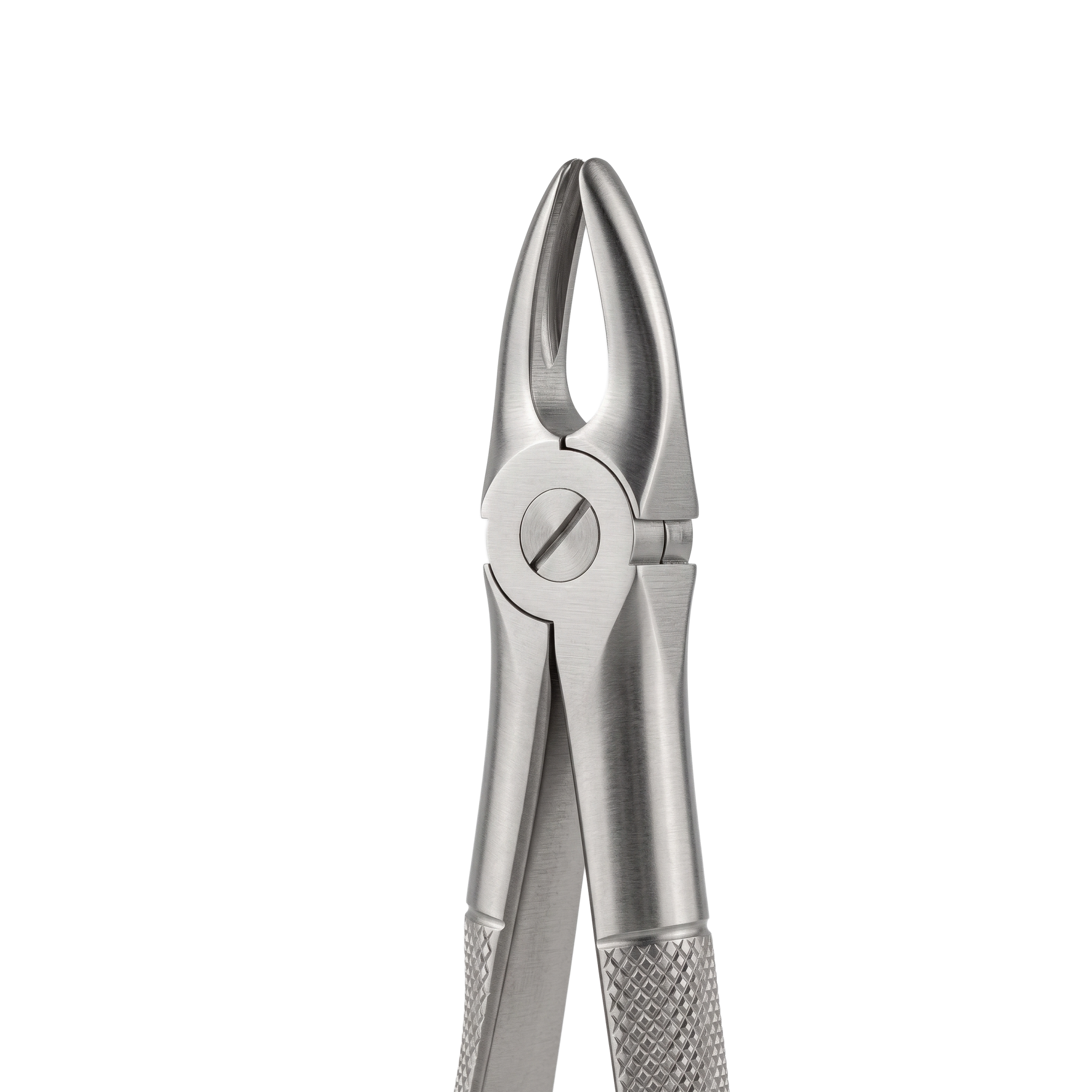 fig 2 upper laterals and canines