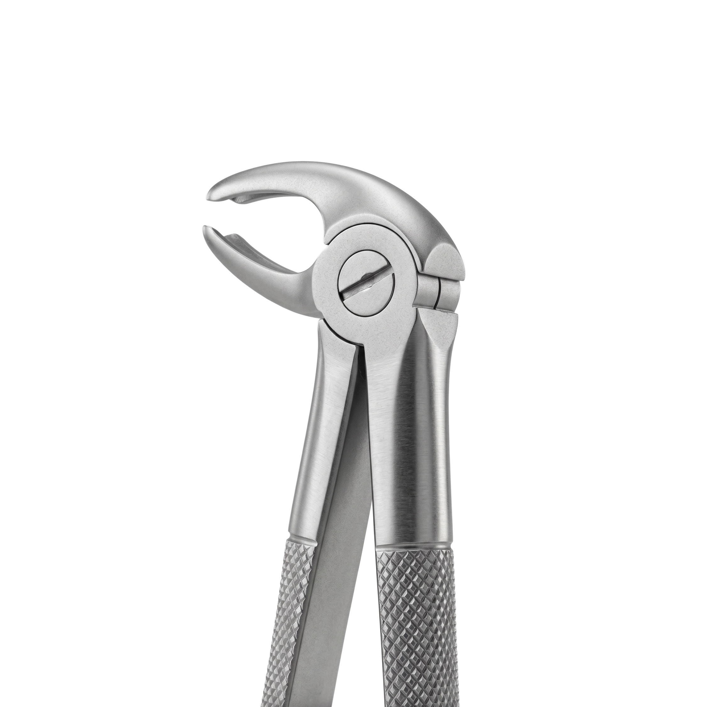 fig 22 lower molars