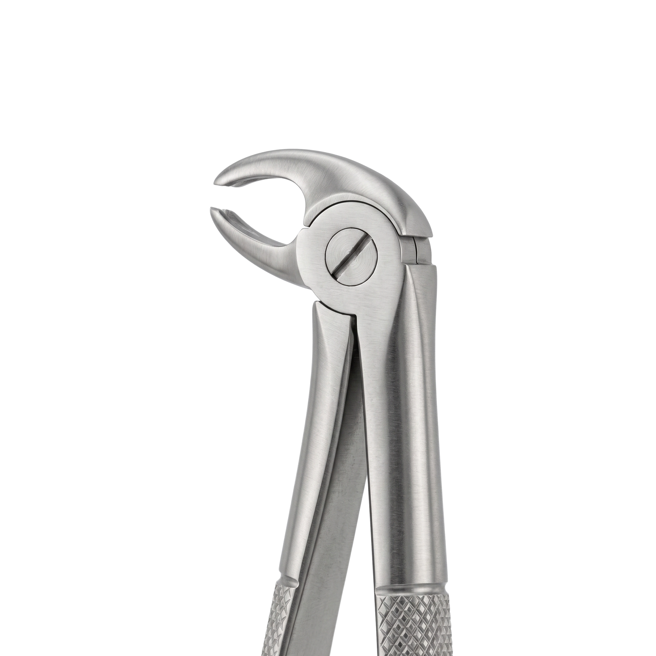 fig 22S lower molars for childrens