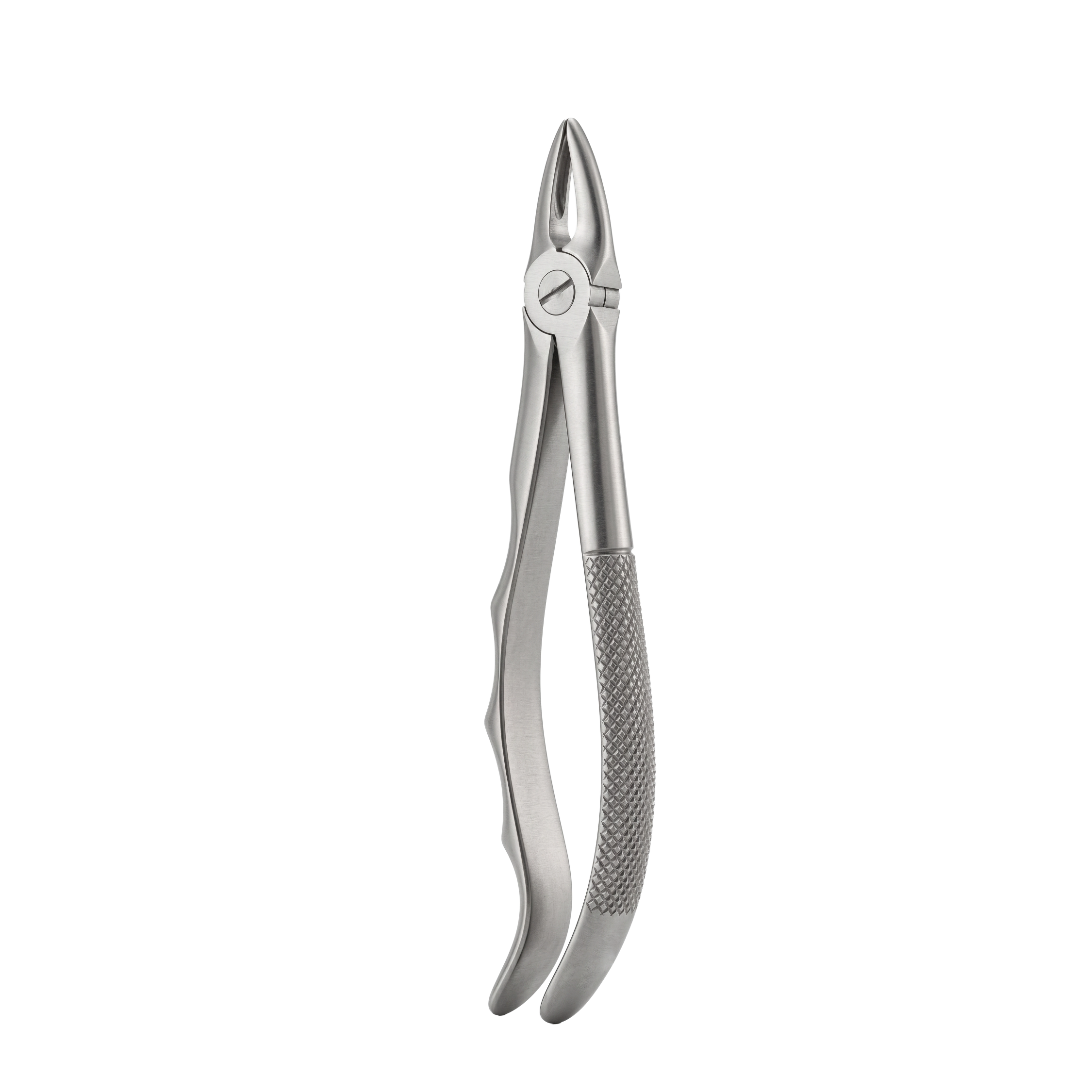 fig 29 upper roots