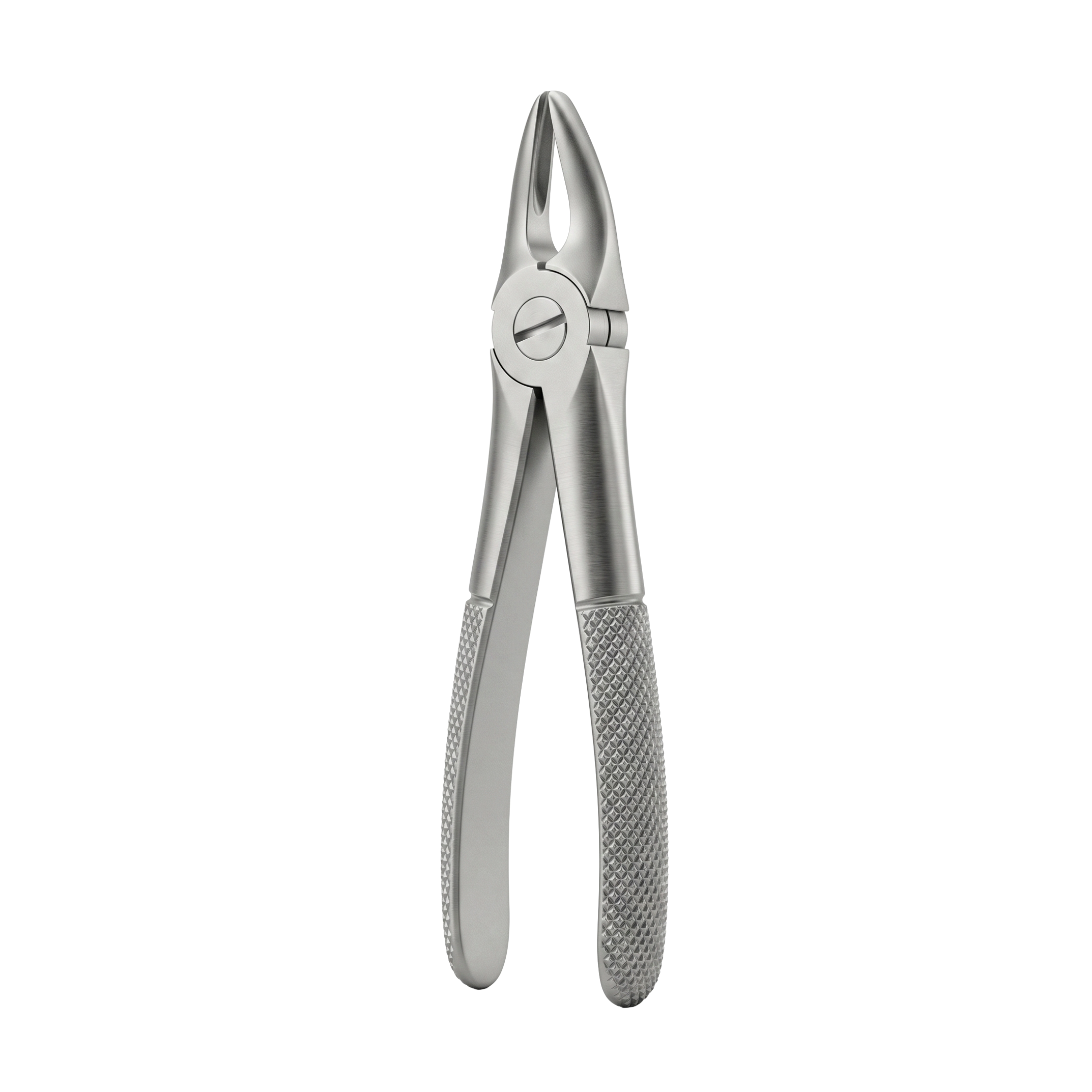 fig 29s upper roots for childrens