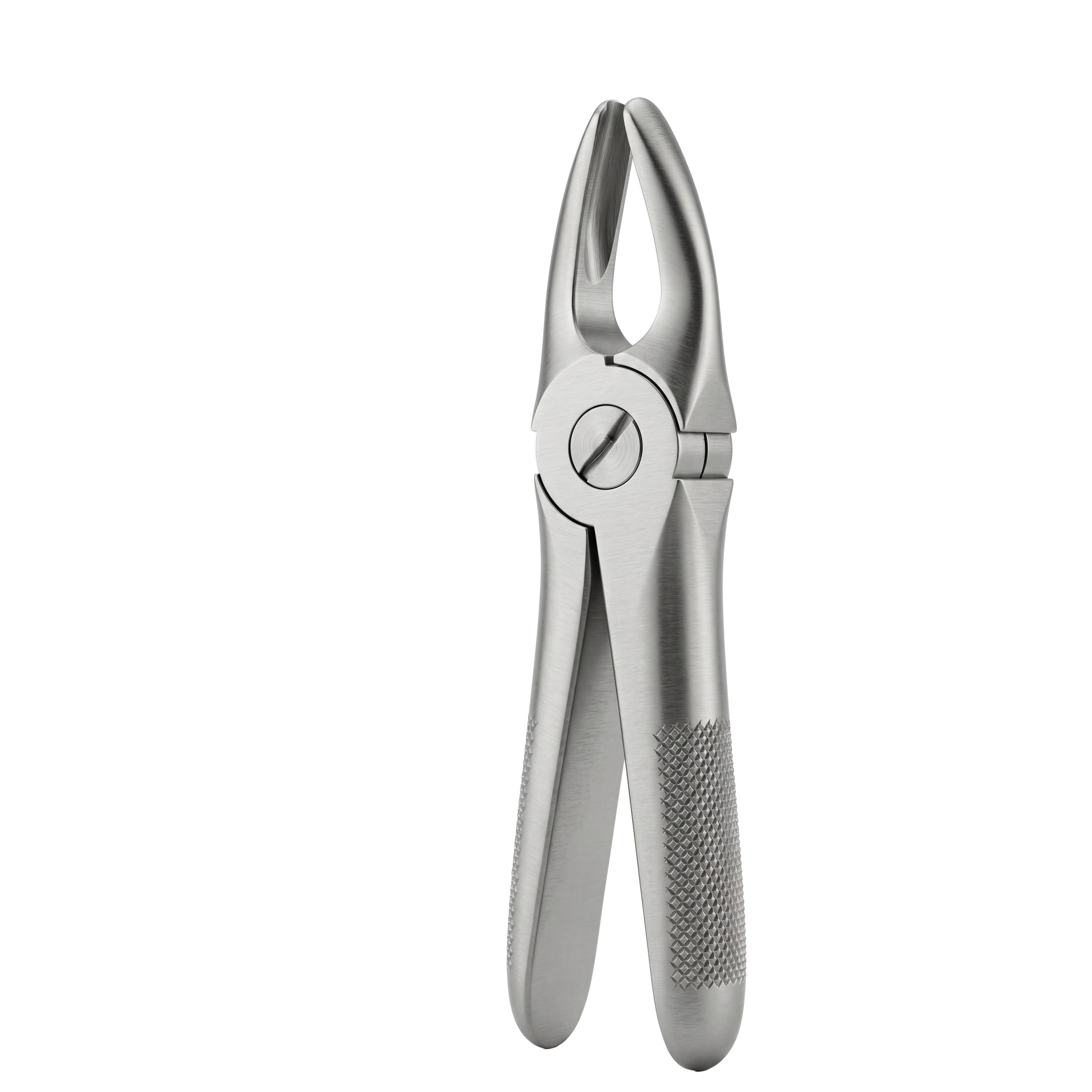 fig 3 upper incisors and canines