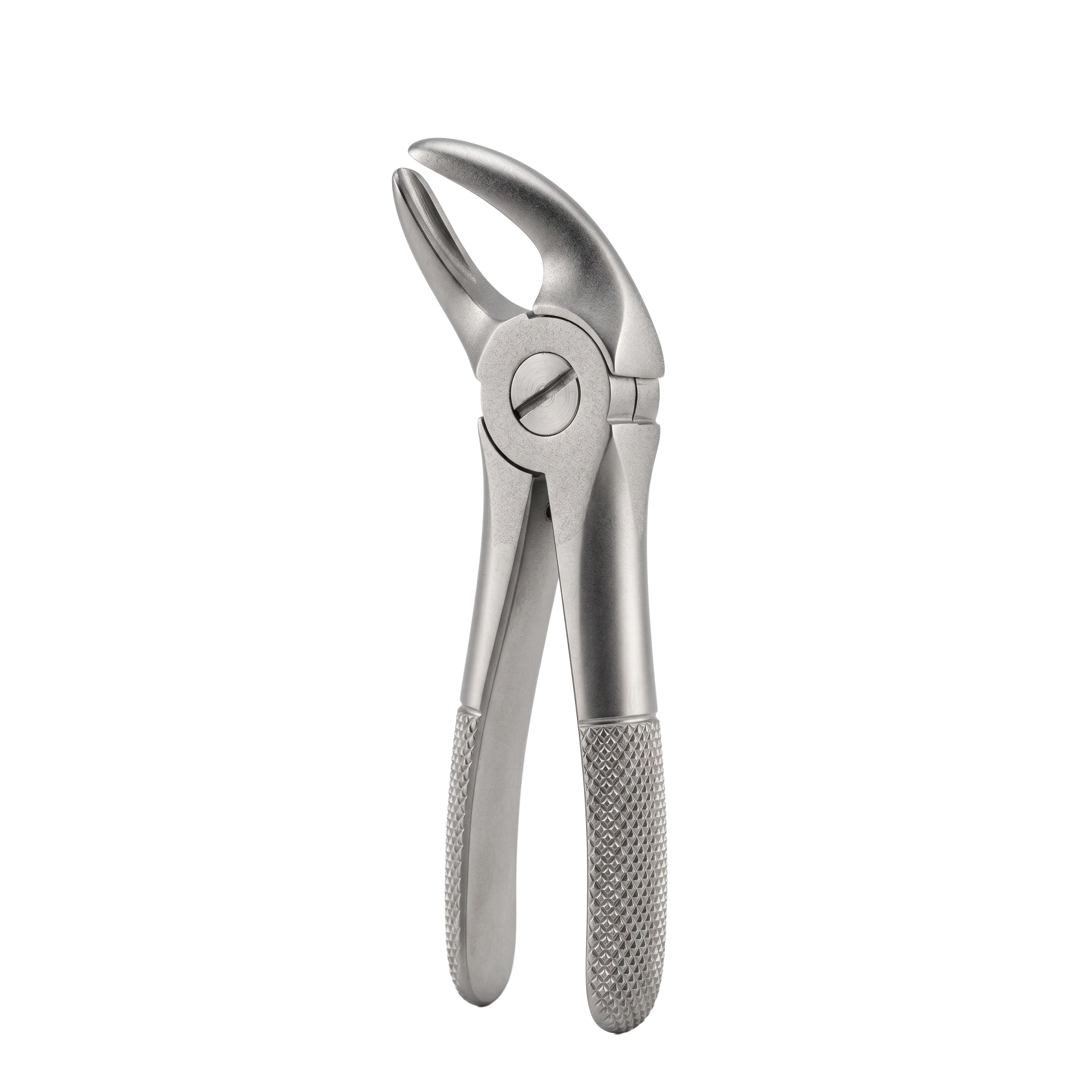 fig 4 lower incisors and canines