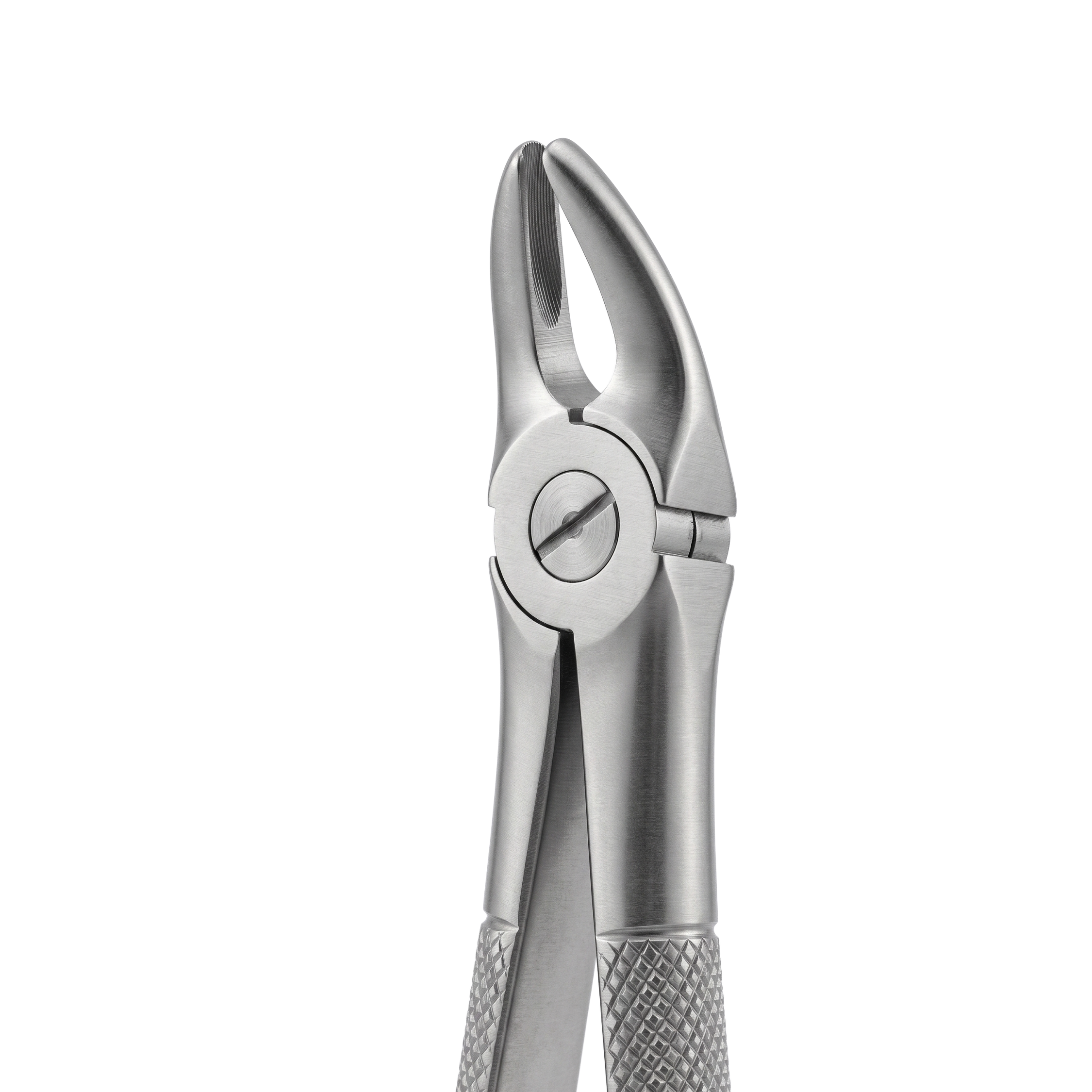 fig 7 upper premolars