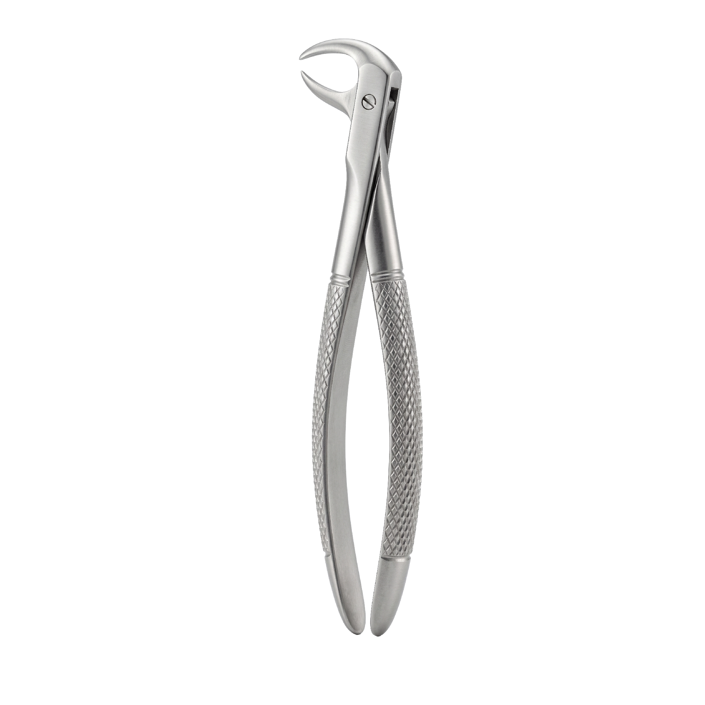 fig 86A lowerr molars