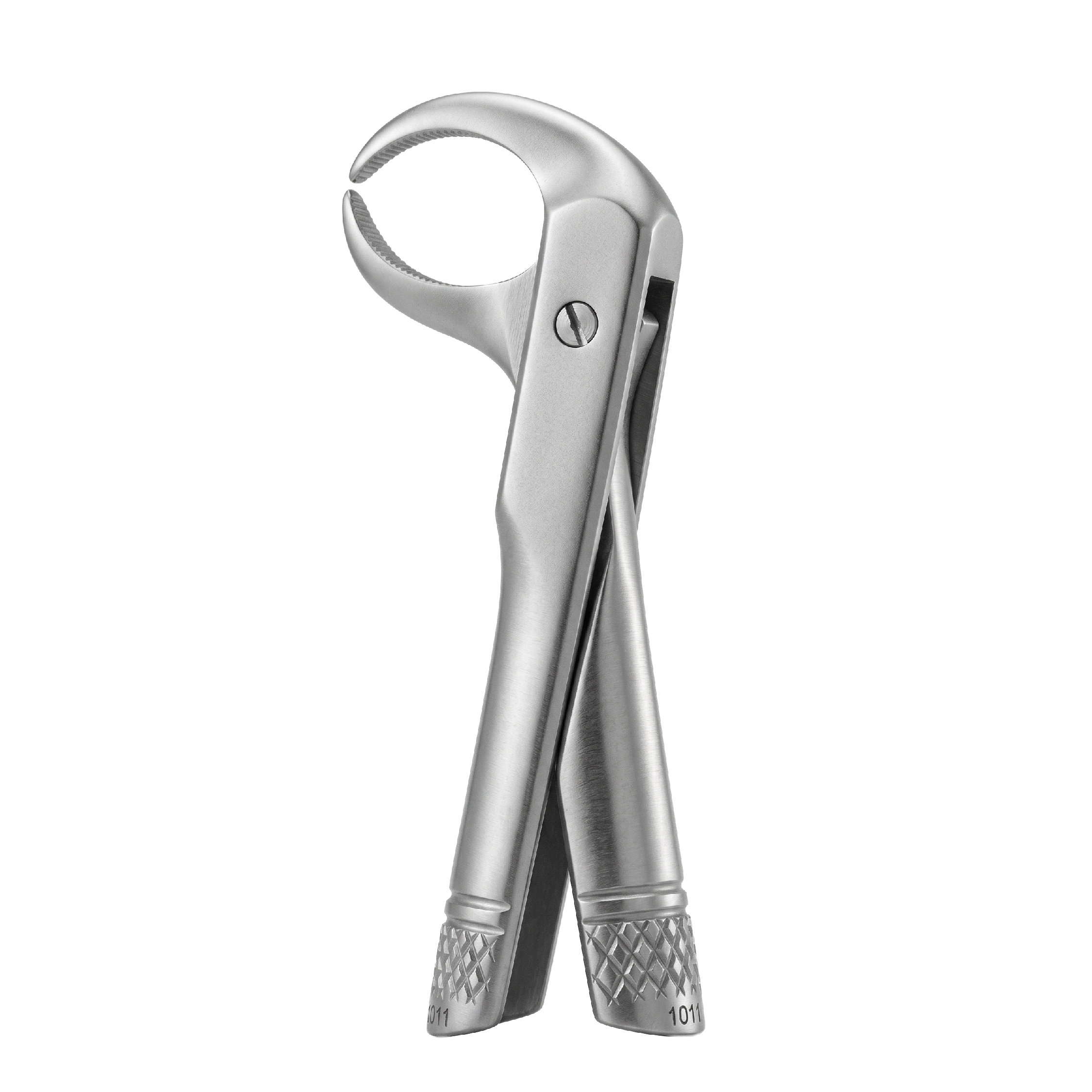 fig 86C lower molars