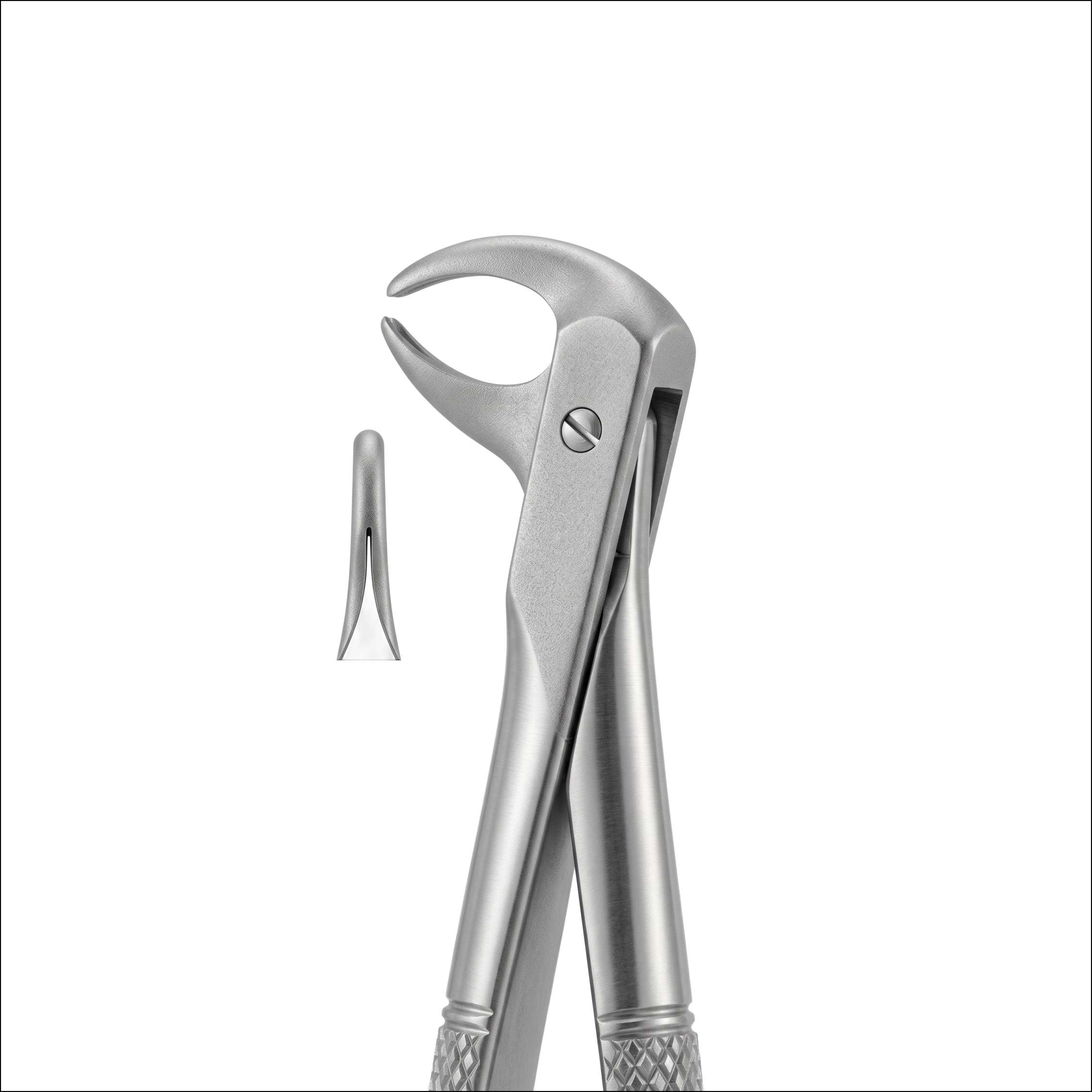 lower incisors fig 105